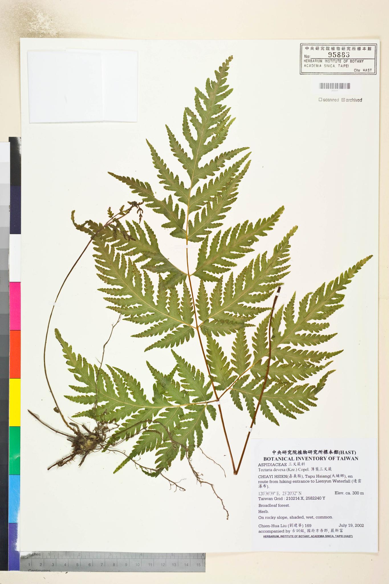 Sample image for viewer