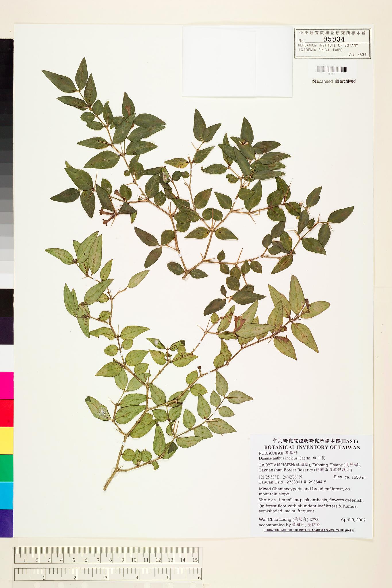 Specimen image