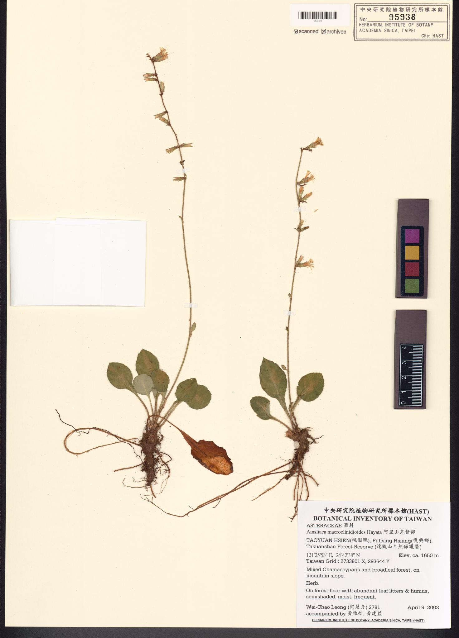 Sample image for viewer