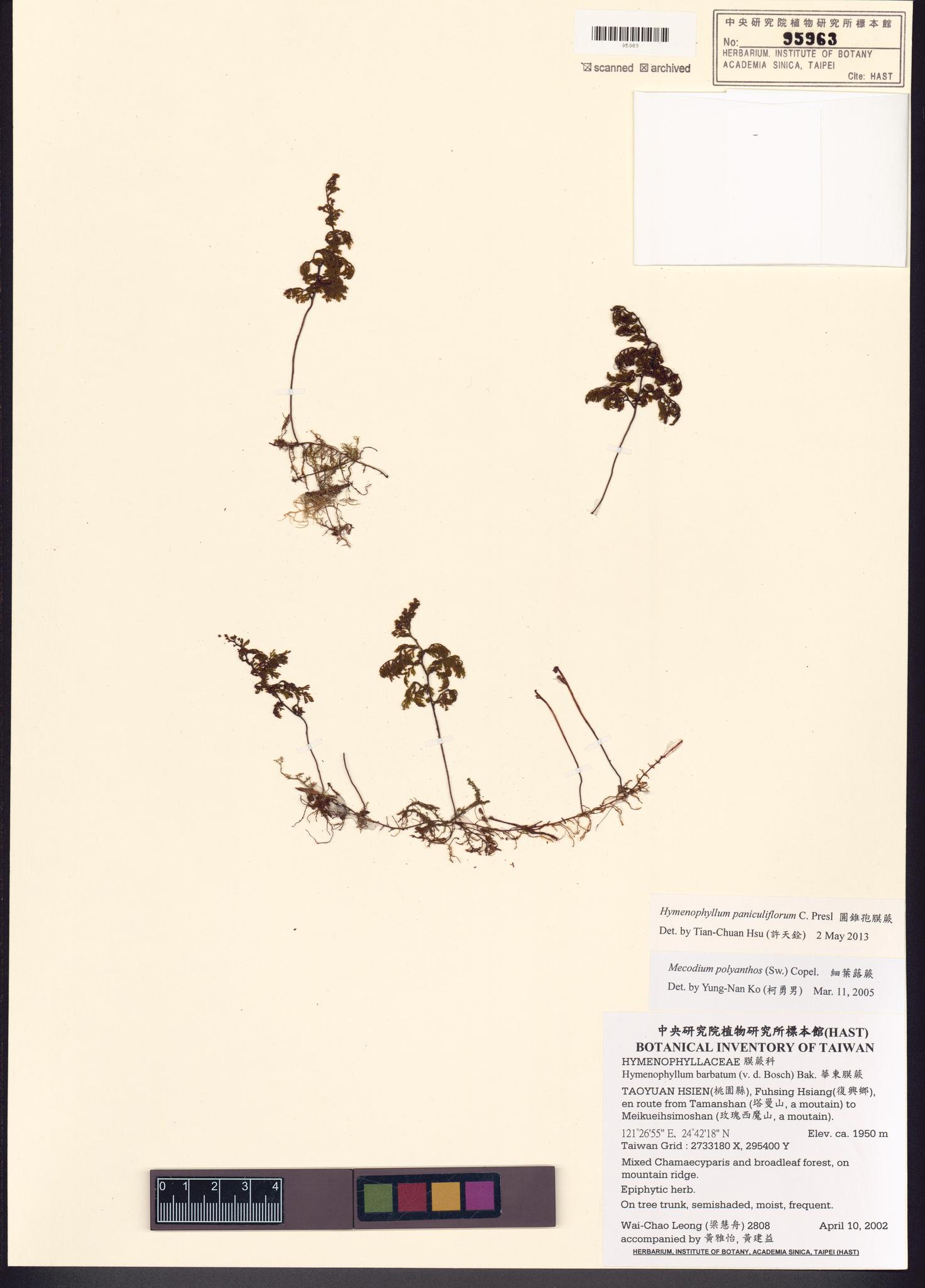 Sample image for viewer