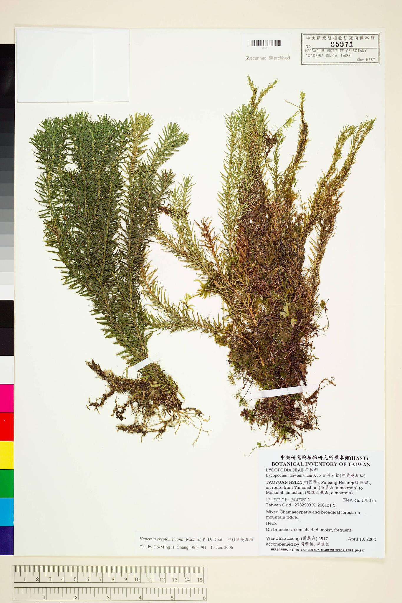 Sample image for viewer