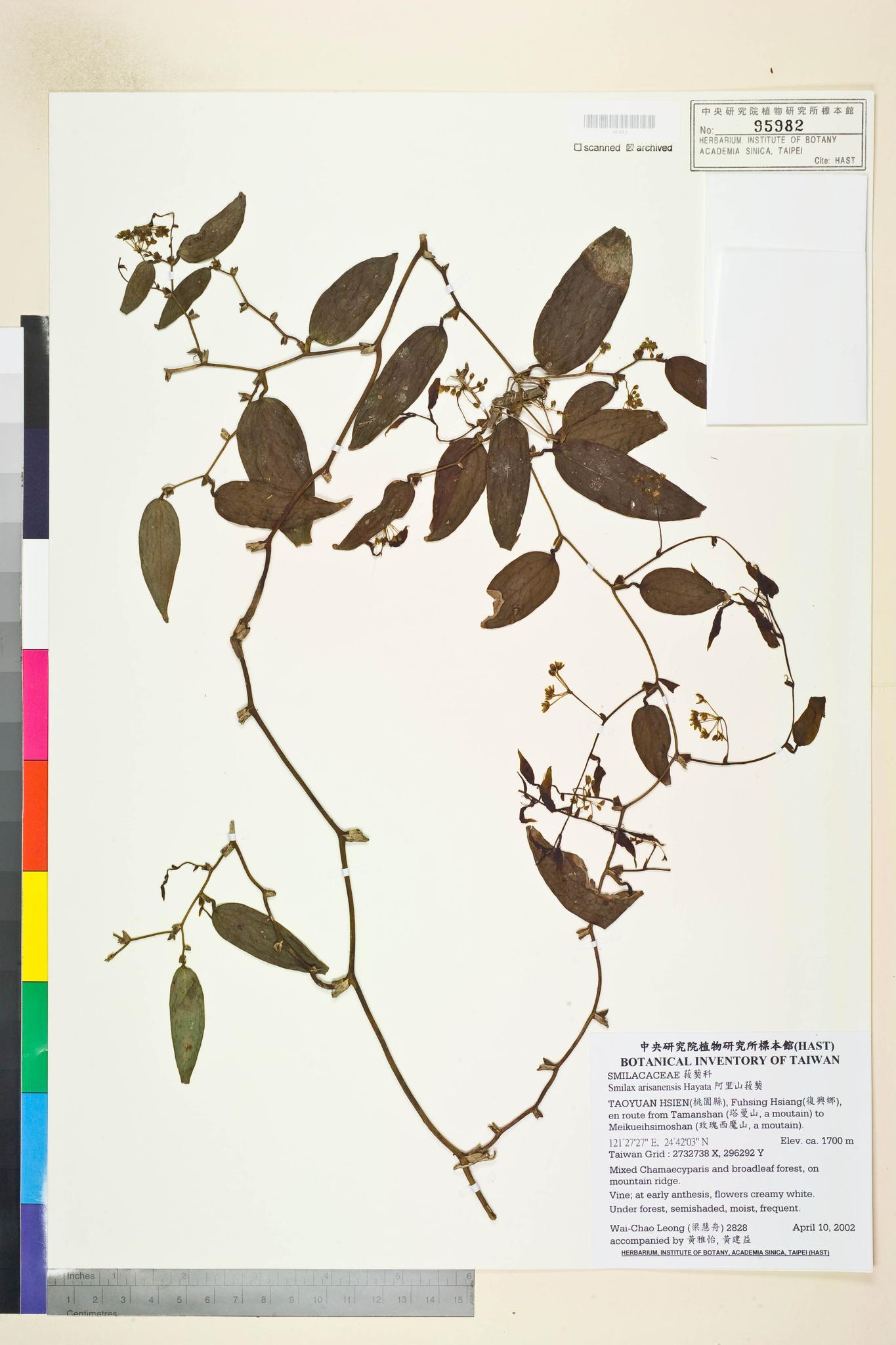 Sample image for viewer