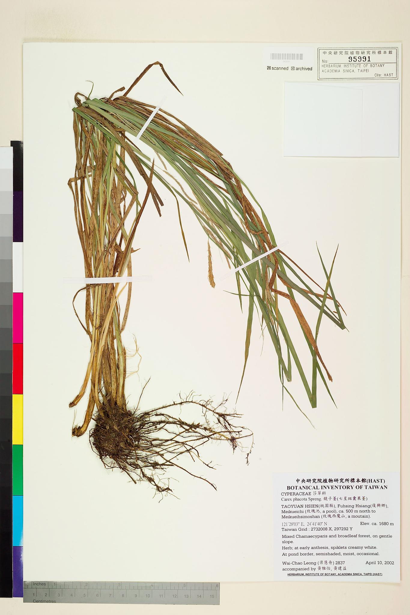 Sample image for viewer