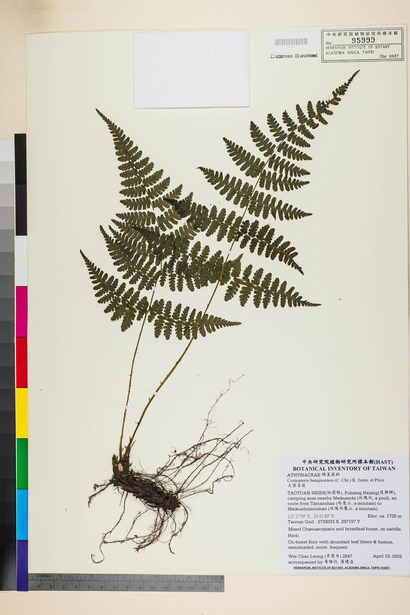 Sample image for viewer