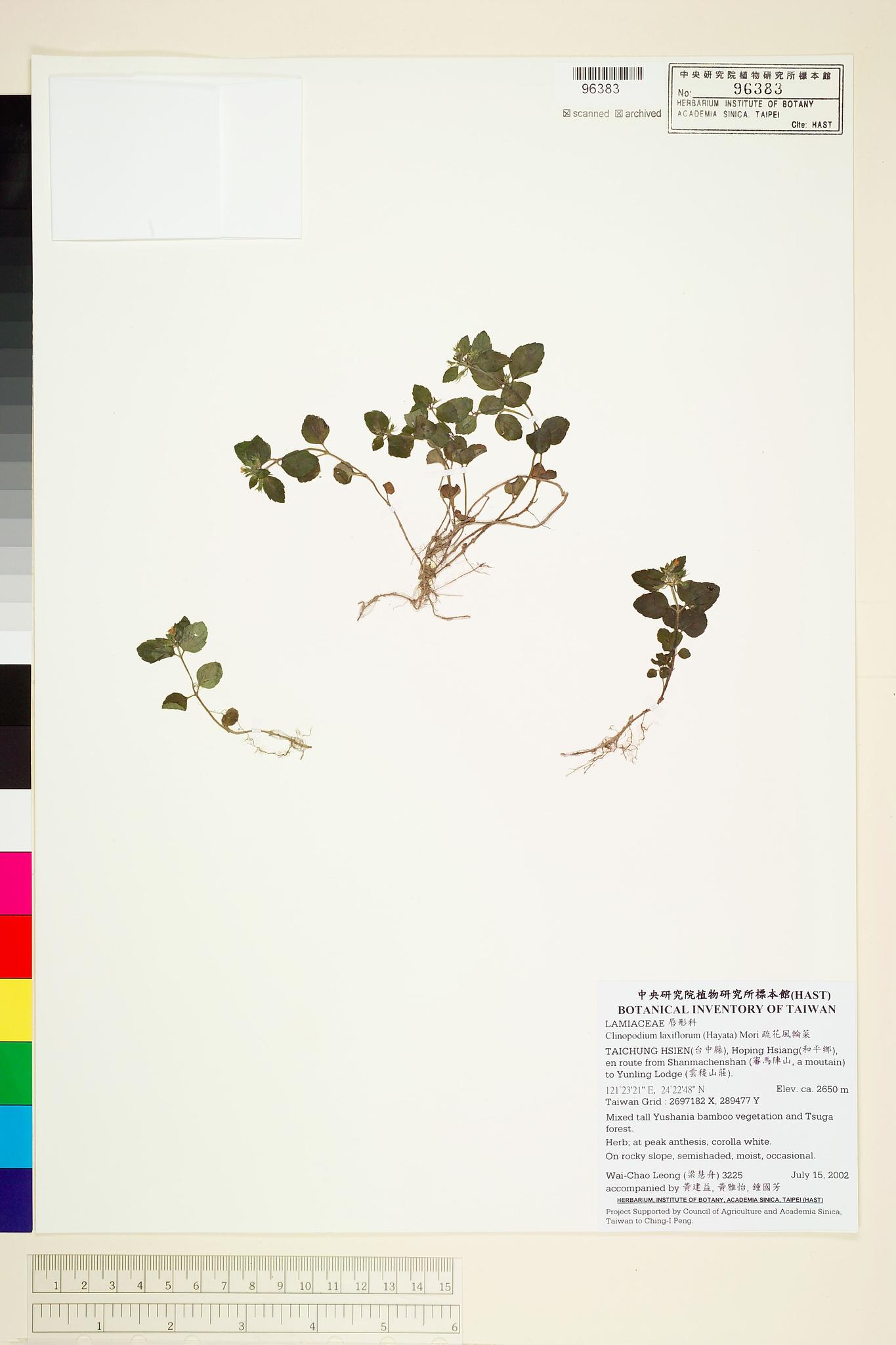 Sample image for viewer