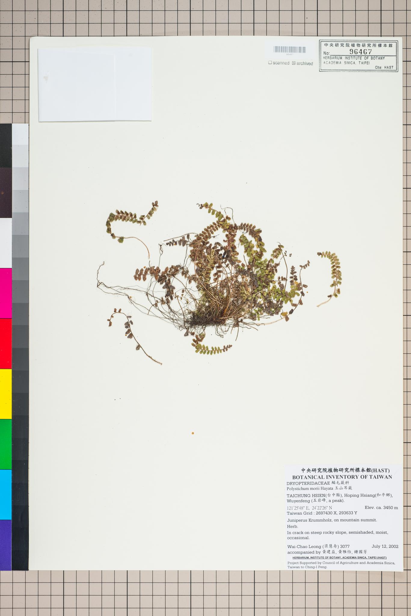 Sample image for viewer