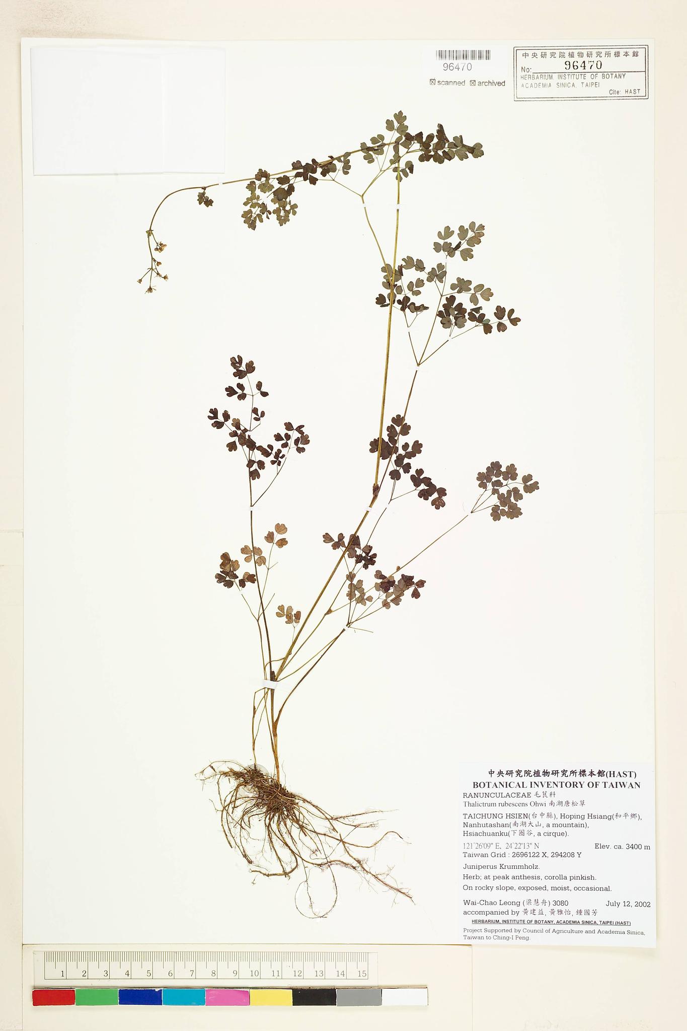 Sample image for viewer