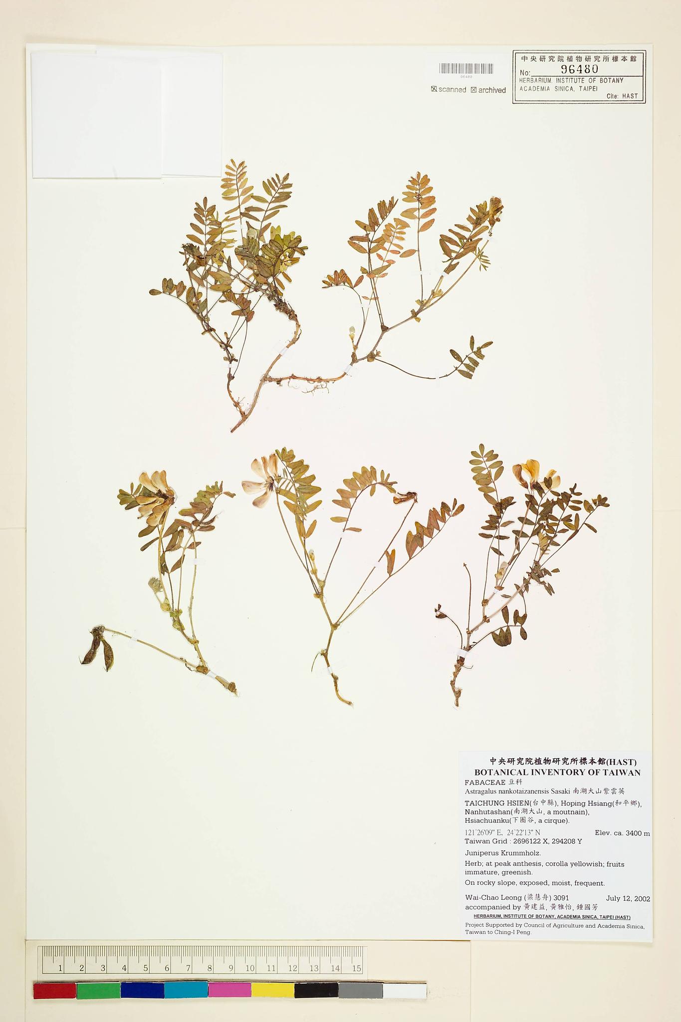 Sample image for viewer