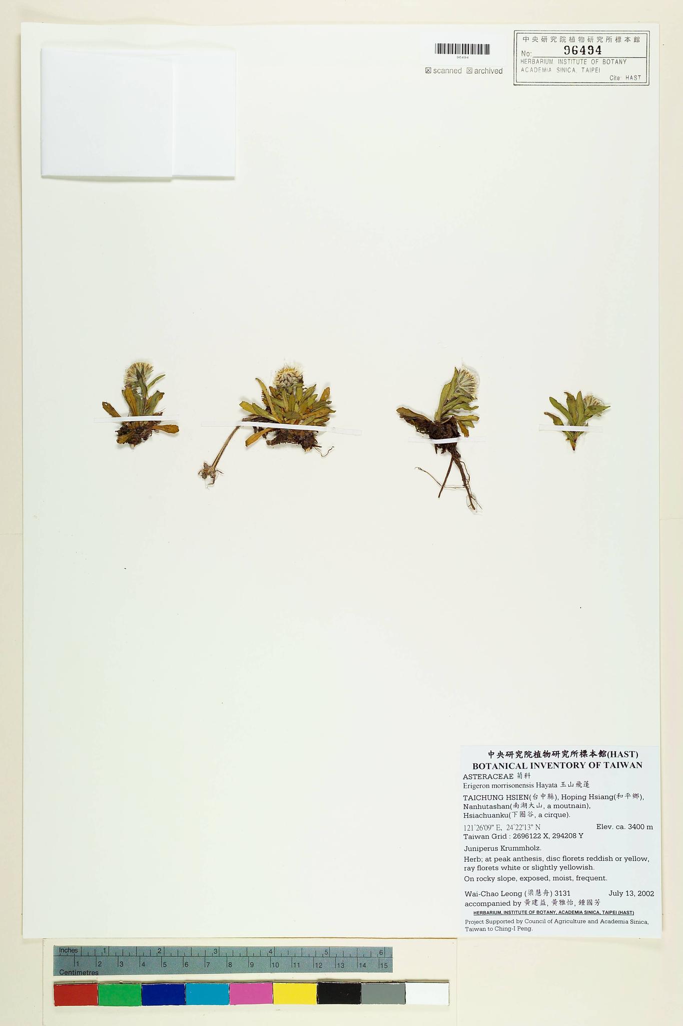 Sample image for viewer