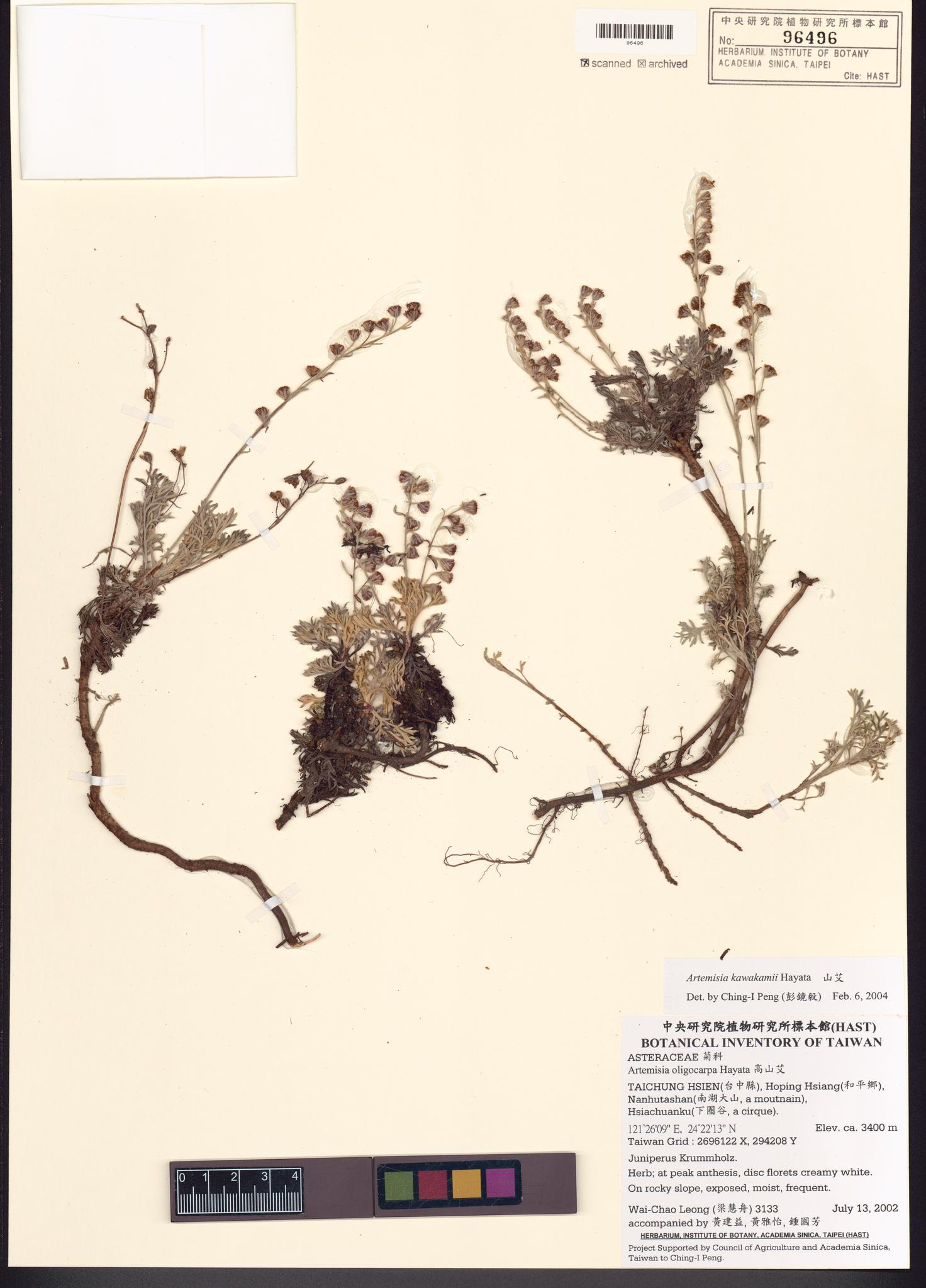 Sample image for viewer