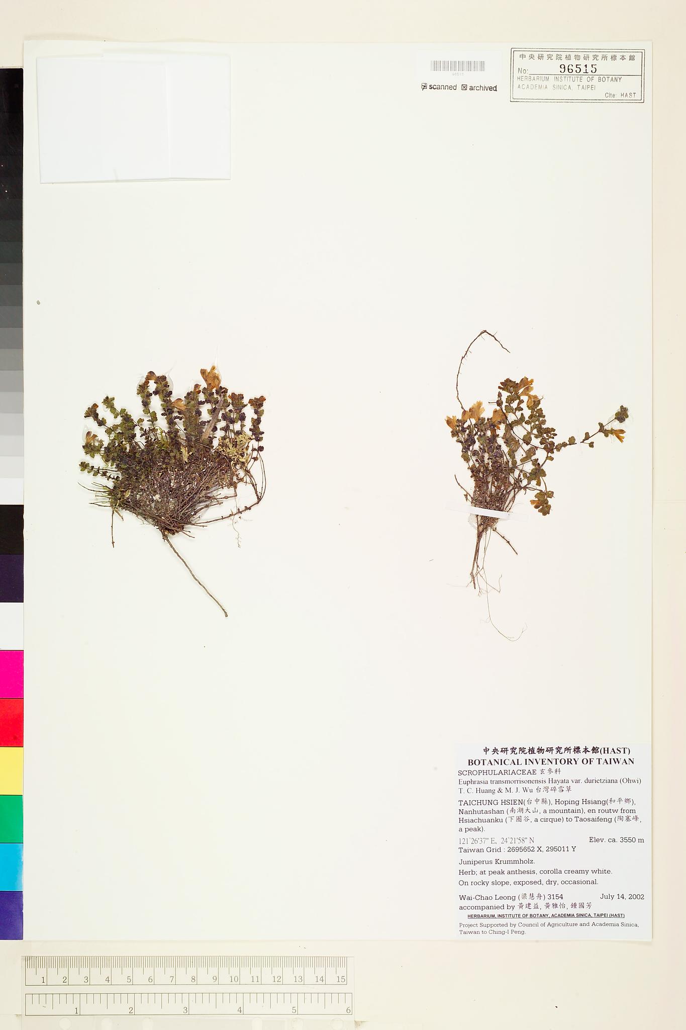 Sample image for viewer