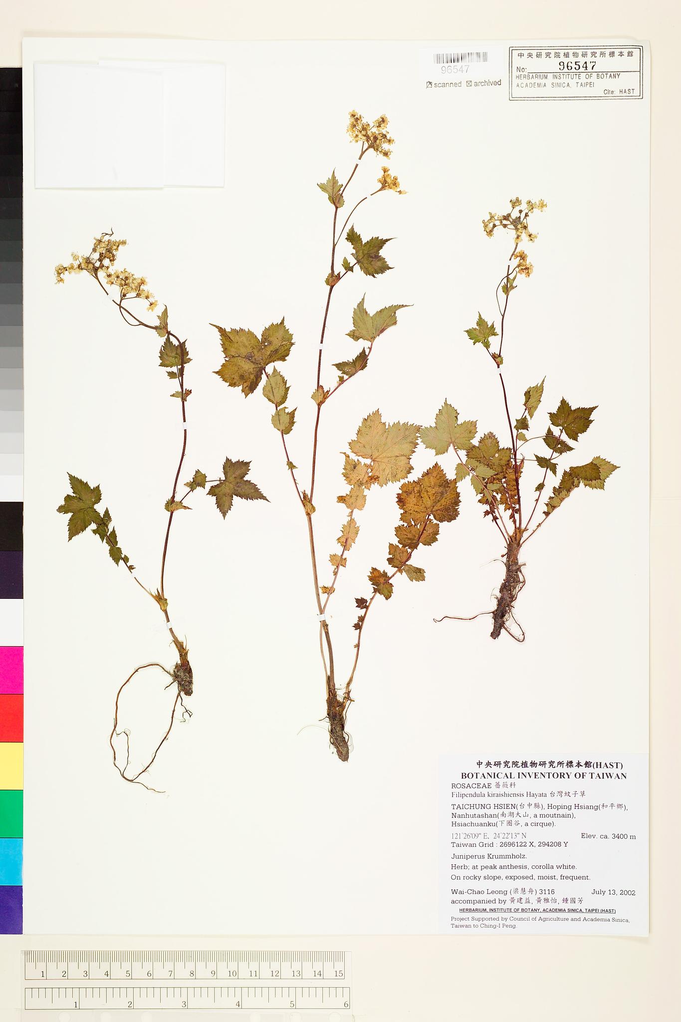 Sample image for viewer