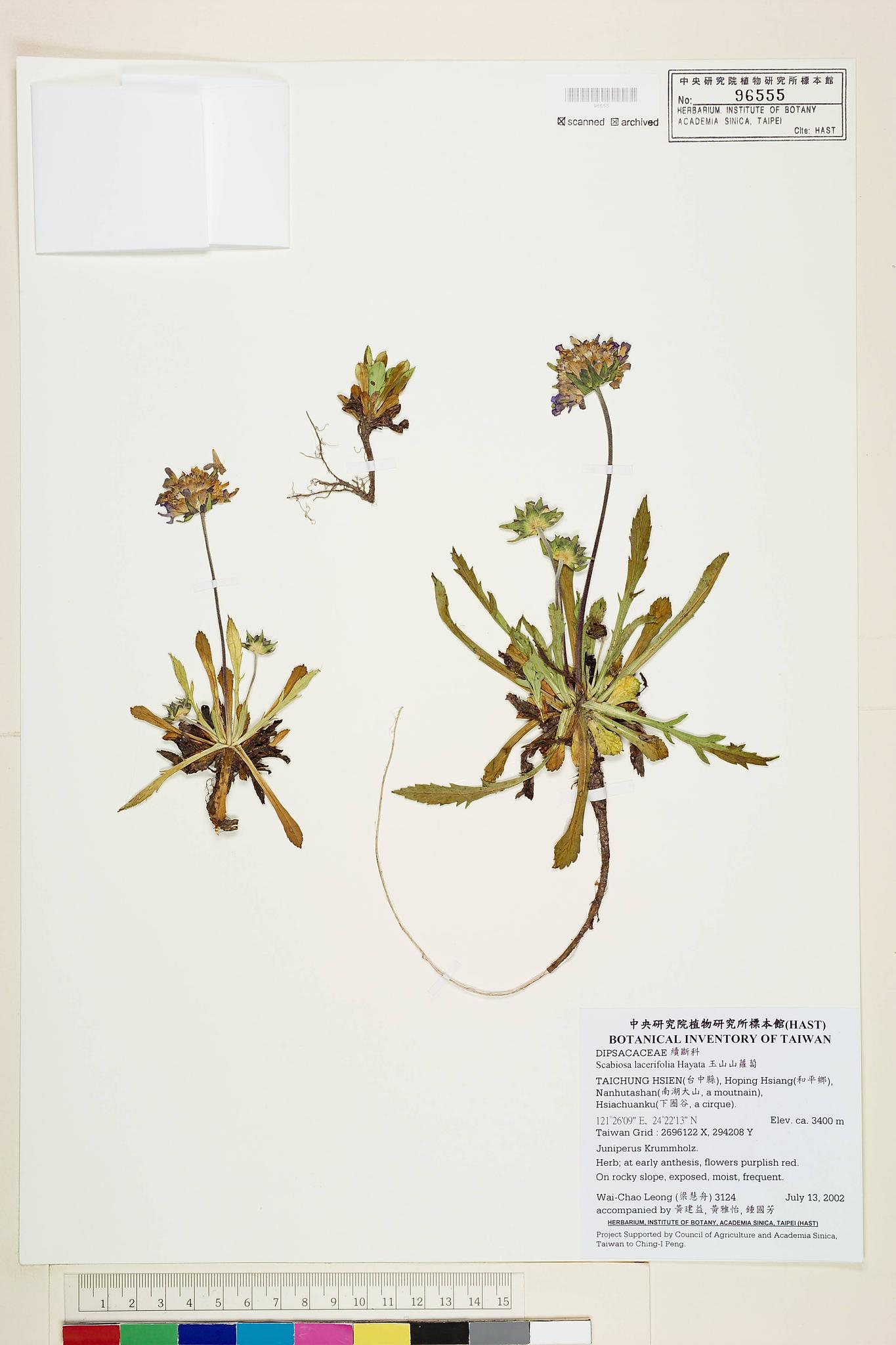 Sample image for viewer