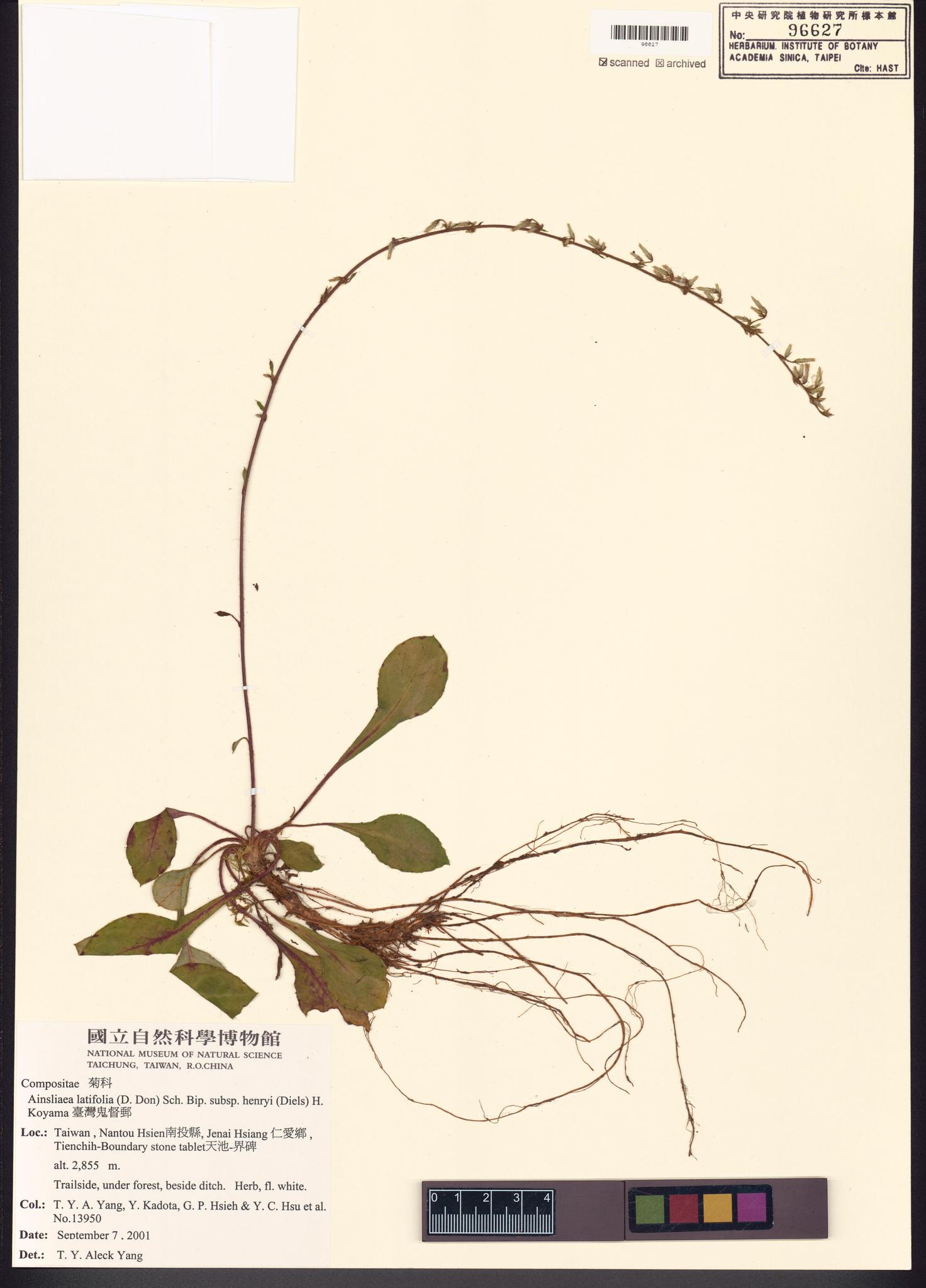 Sample image for viewer