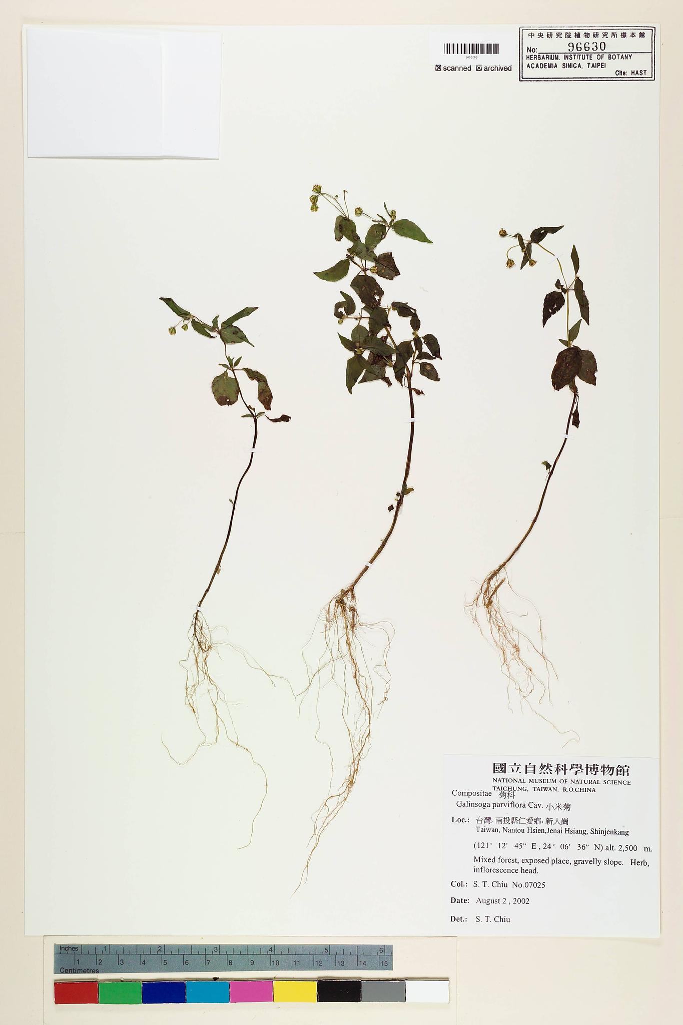 Sample image for viewer