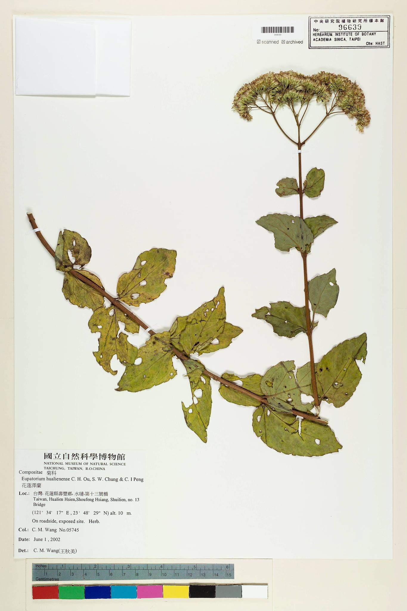 Sample image for viewer