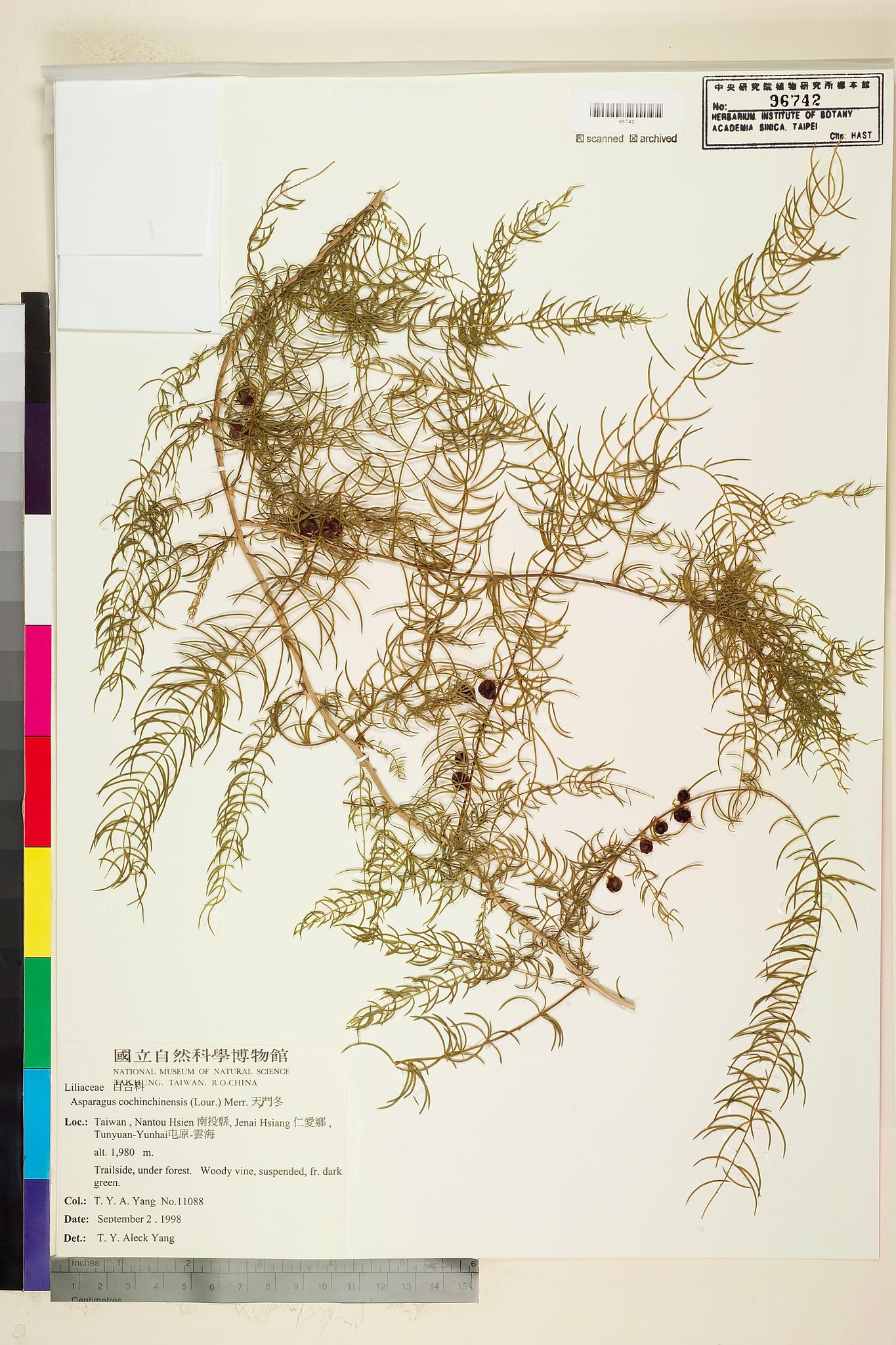 Sample image for viewer