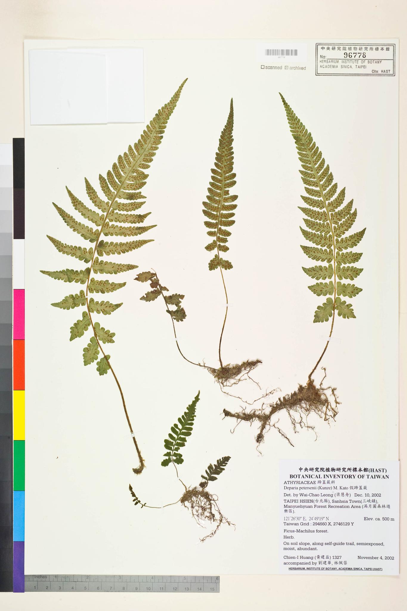 Sample image for viewer