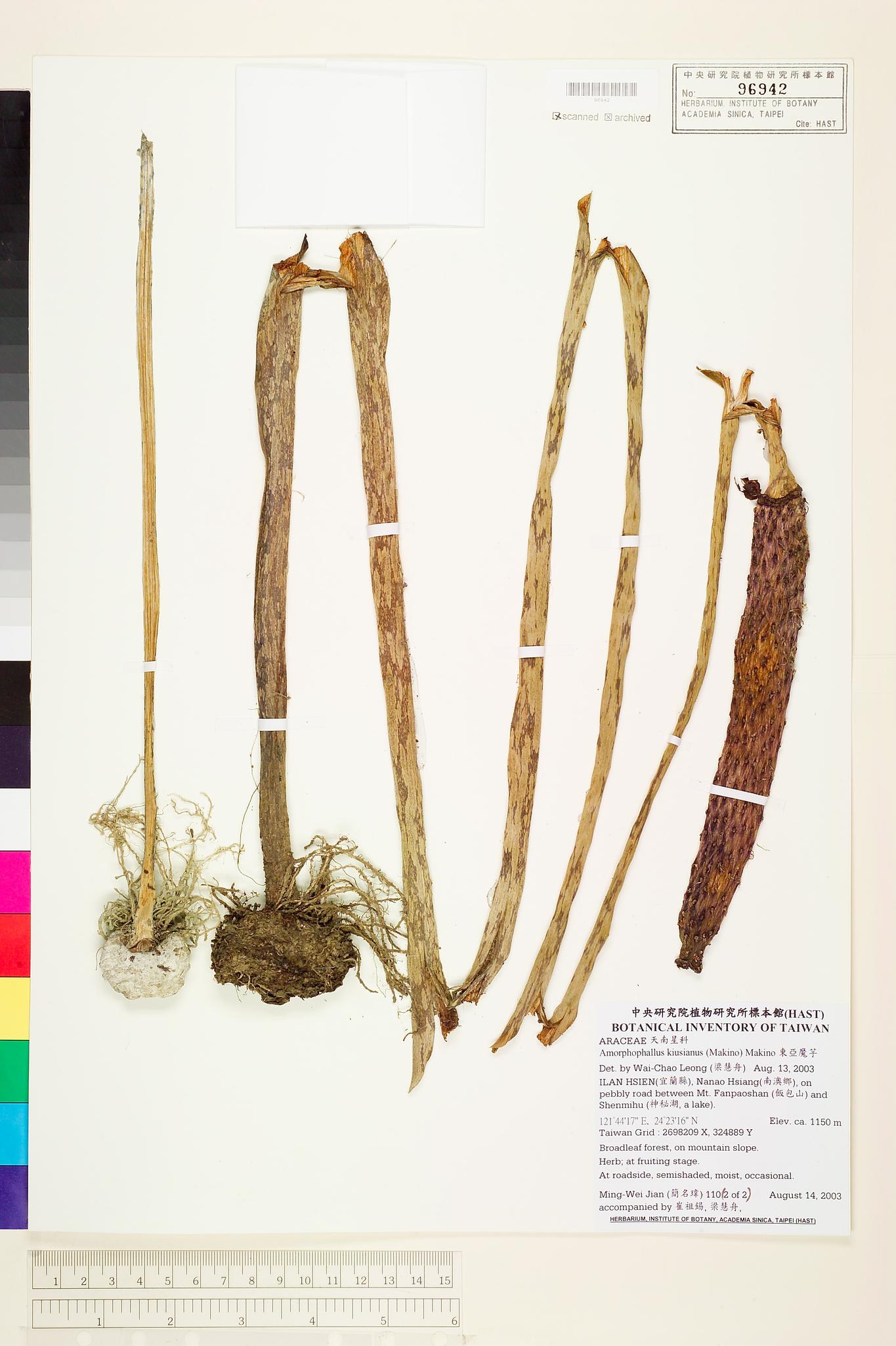 Sample image for viewer