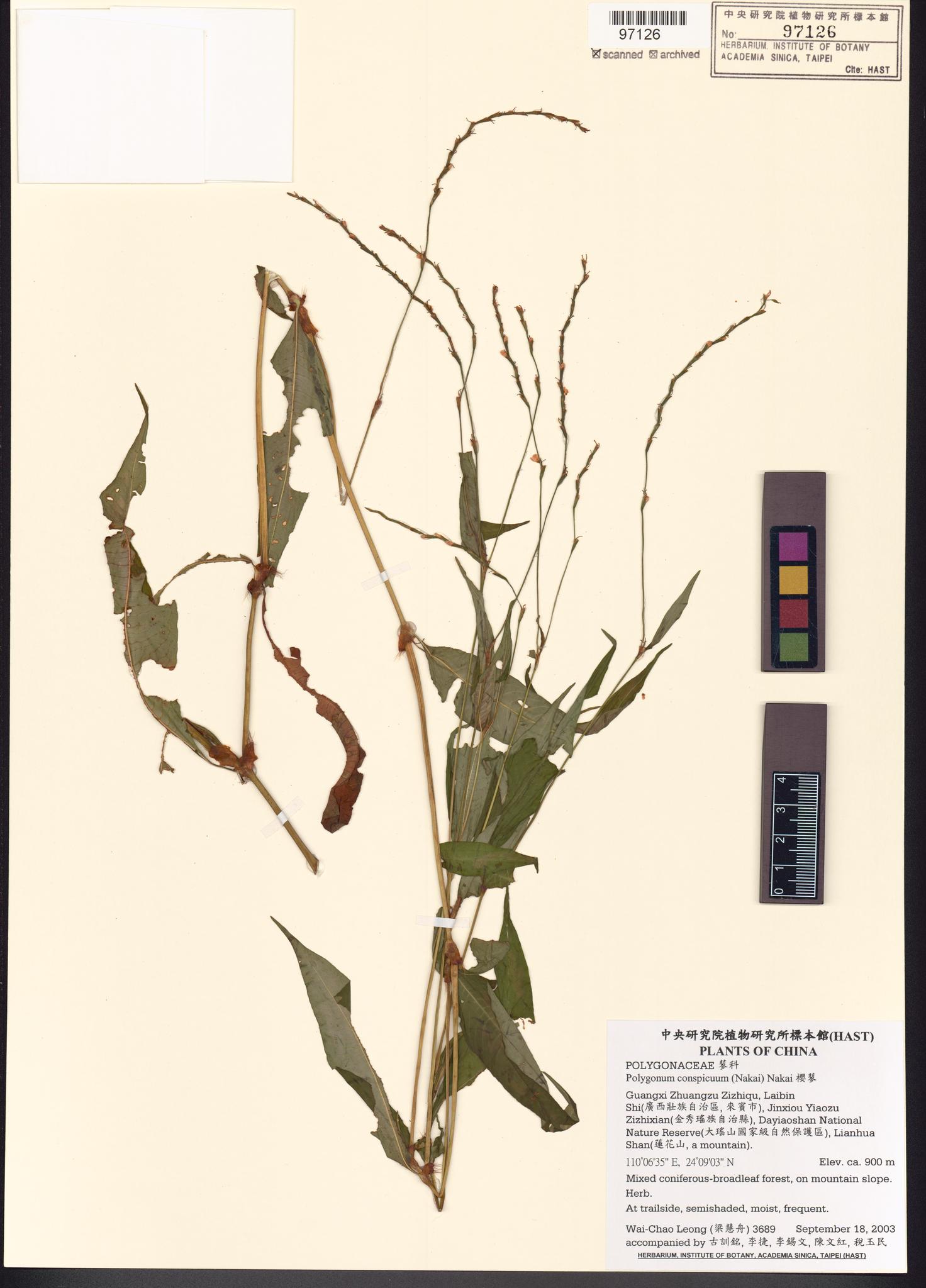 Sample image for viewer