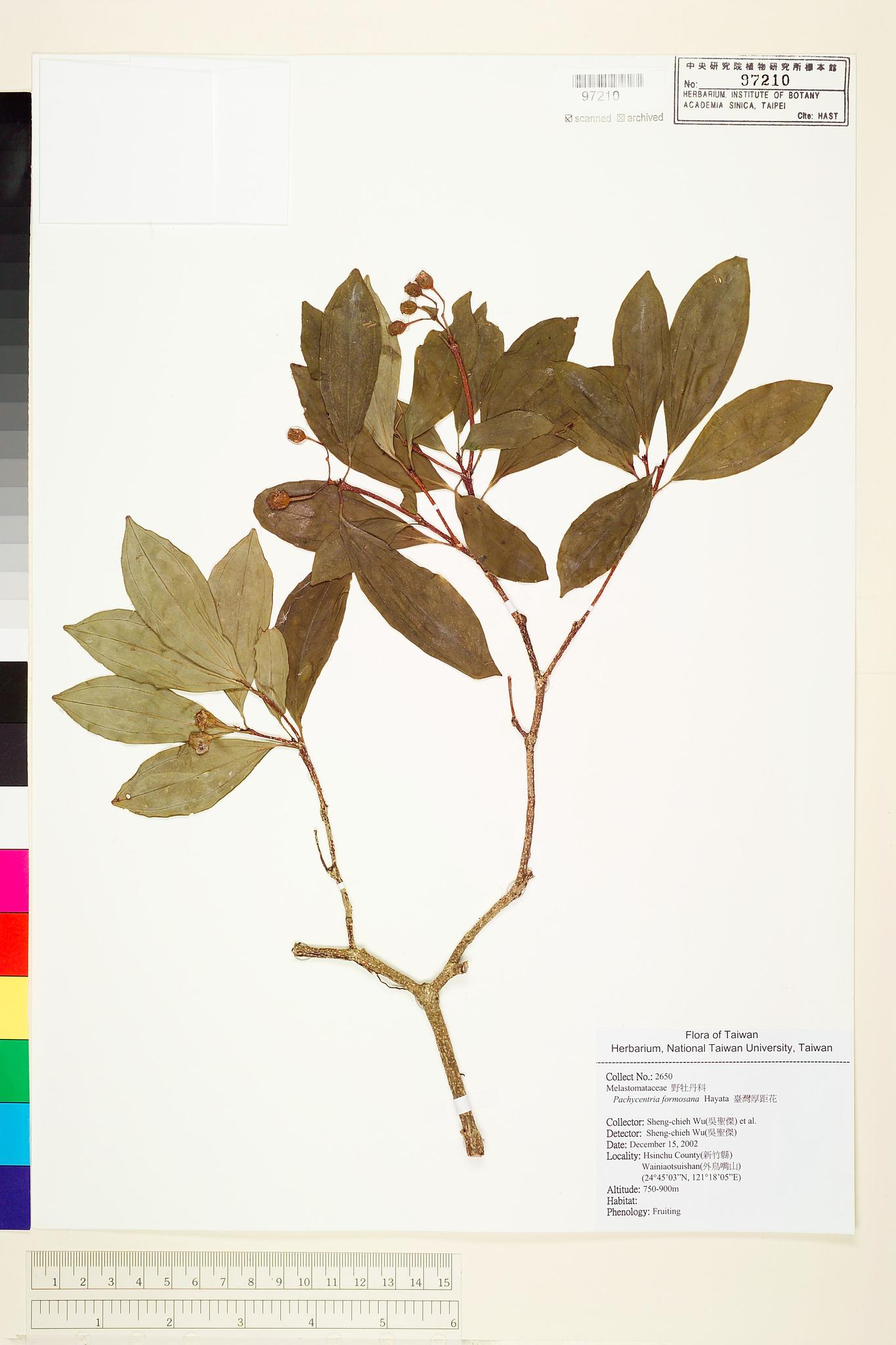 Sample image for viewer