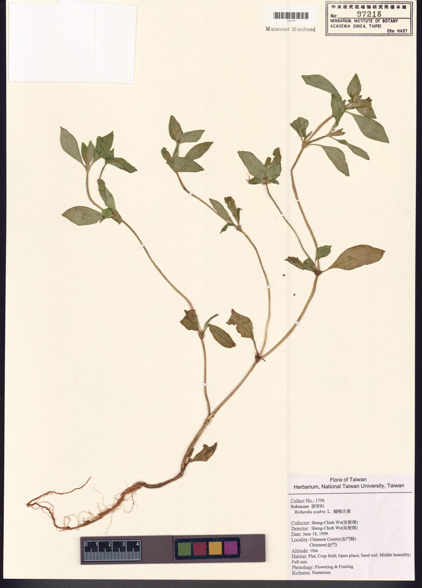 Sample image for viewer