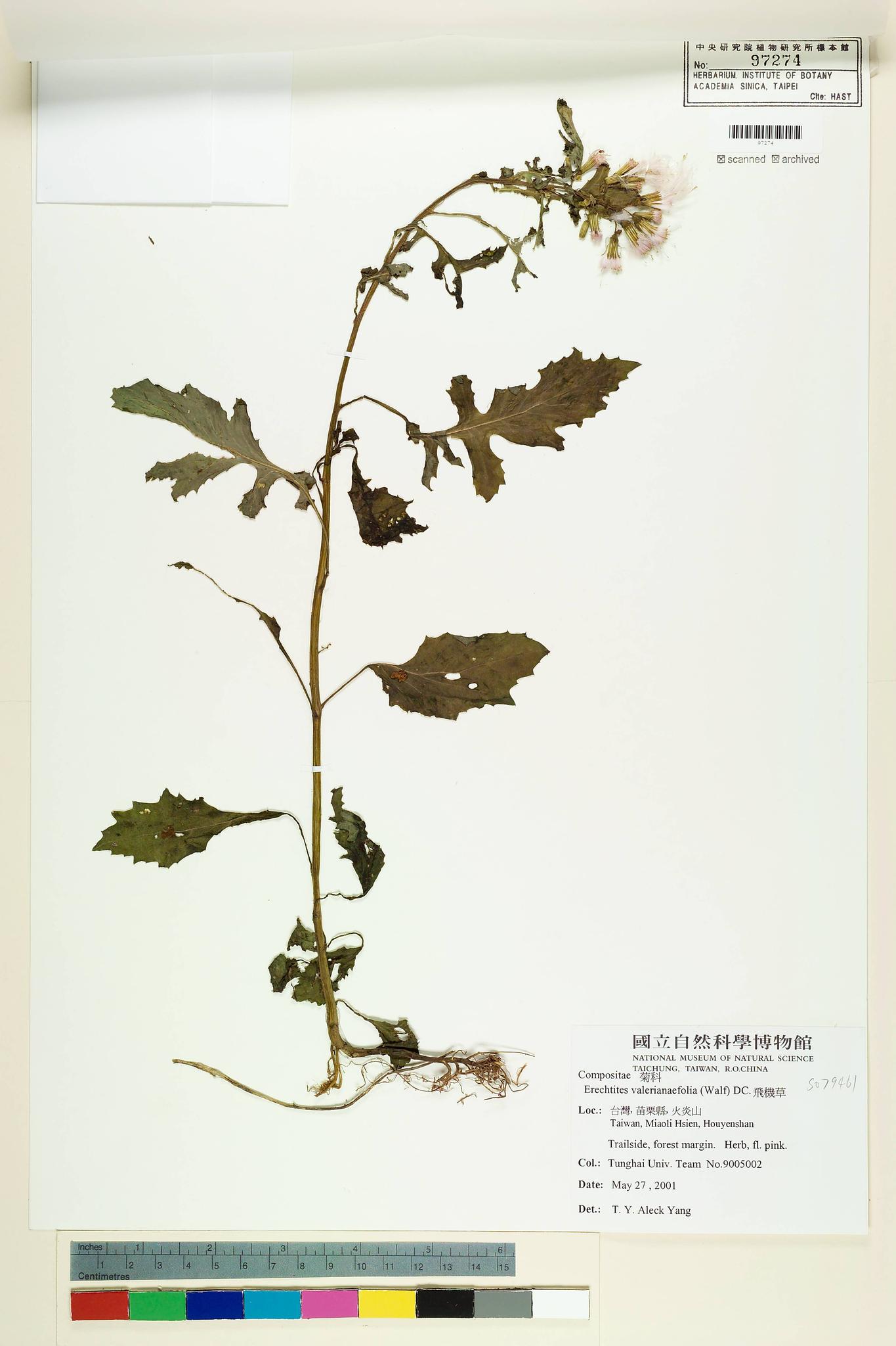 Specimen image