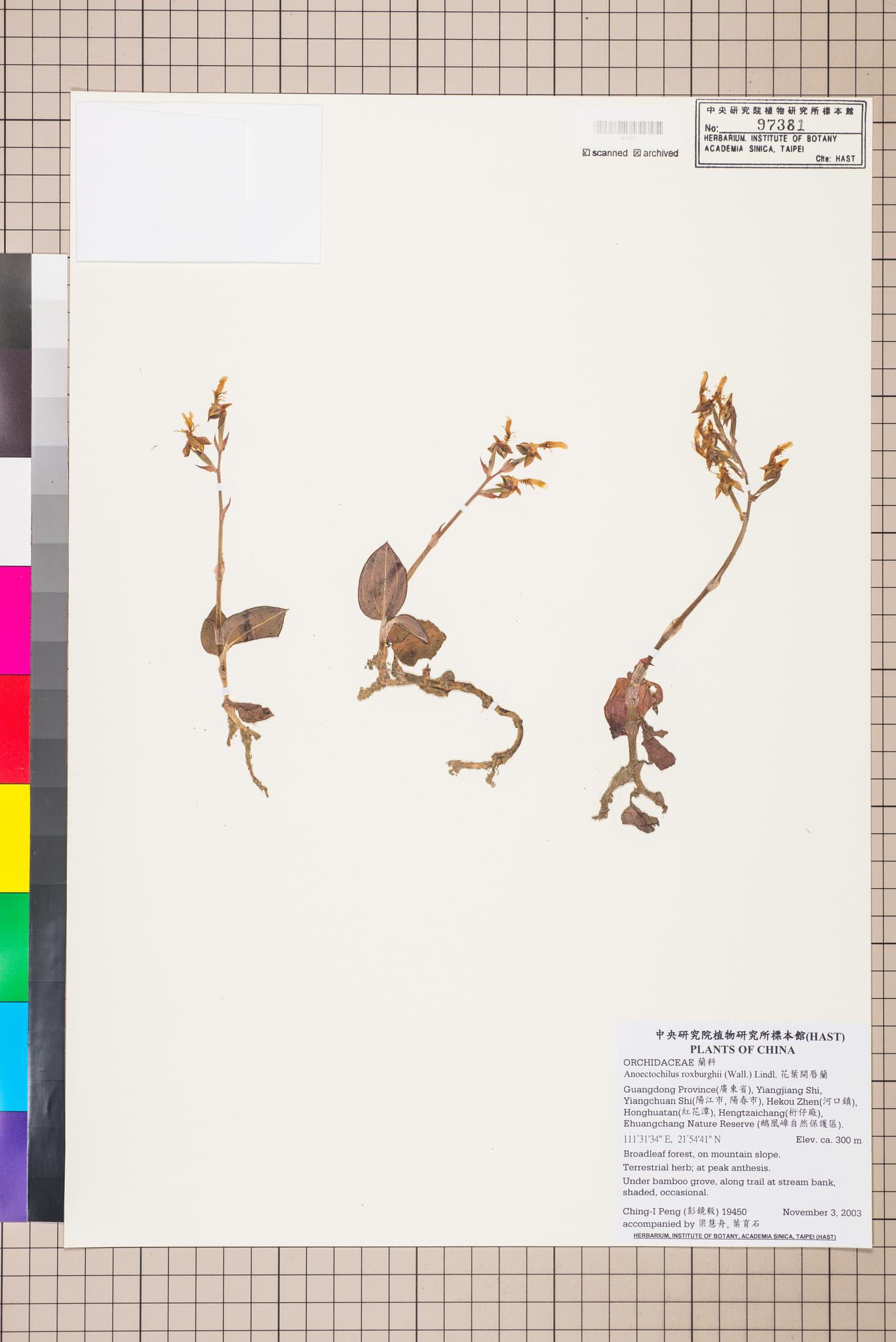 Sample image for viewer