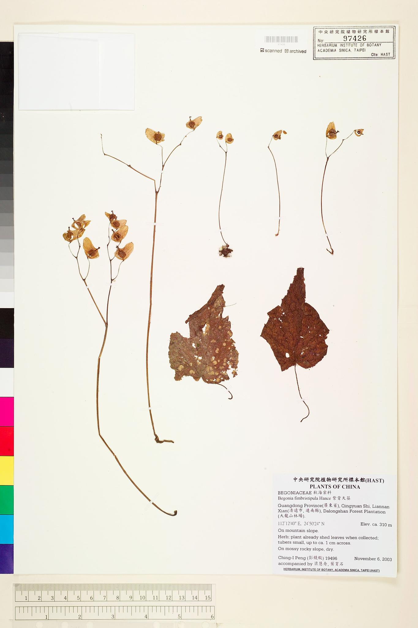 Sample image for viewer