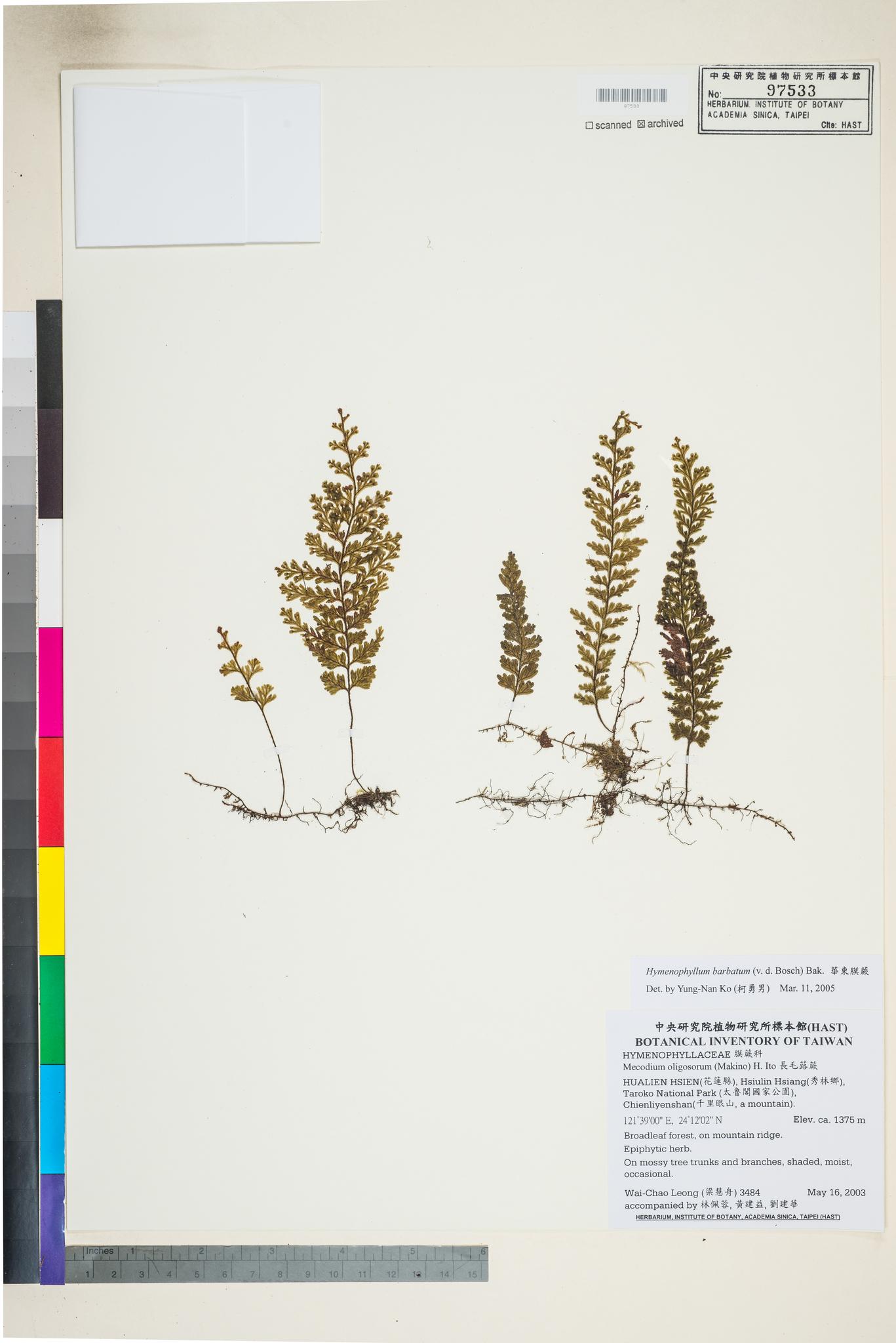 Sample image for viewer