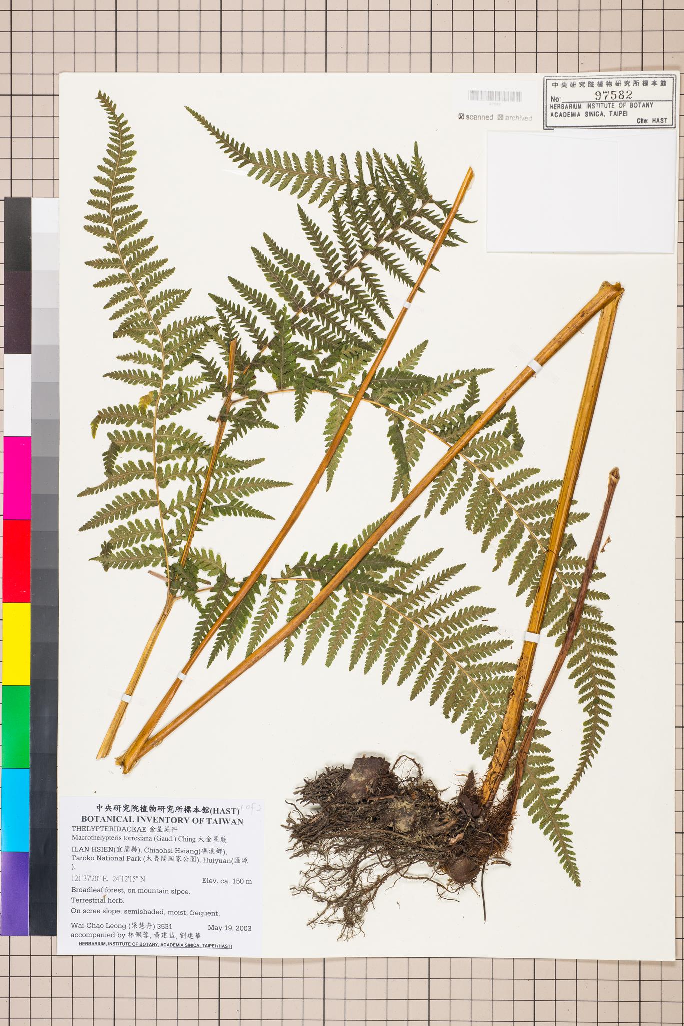 Sample image for viewer