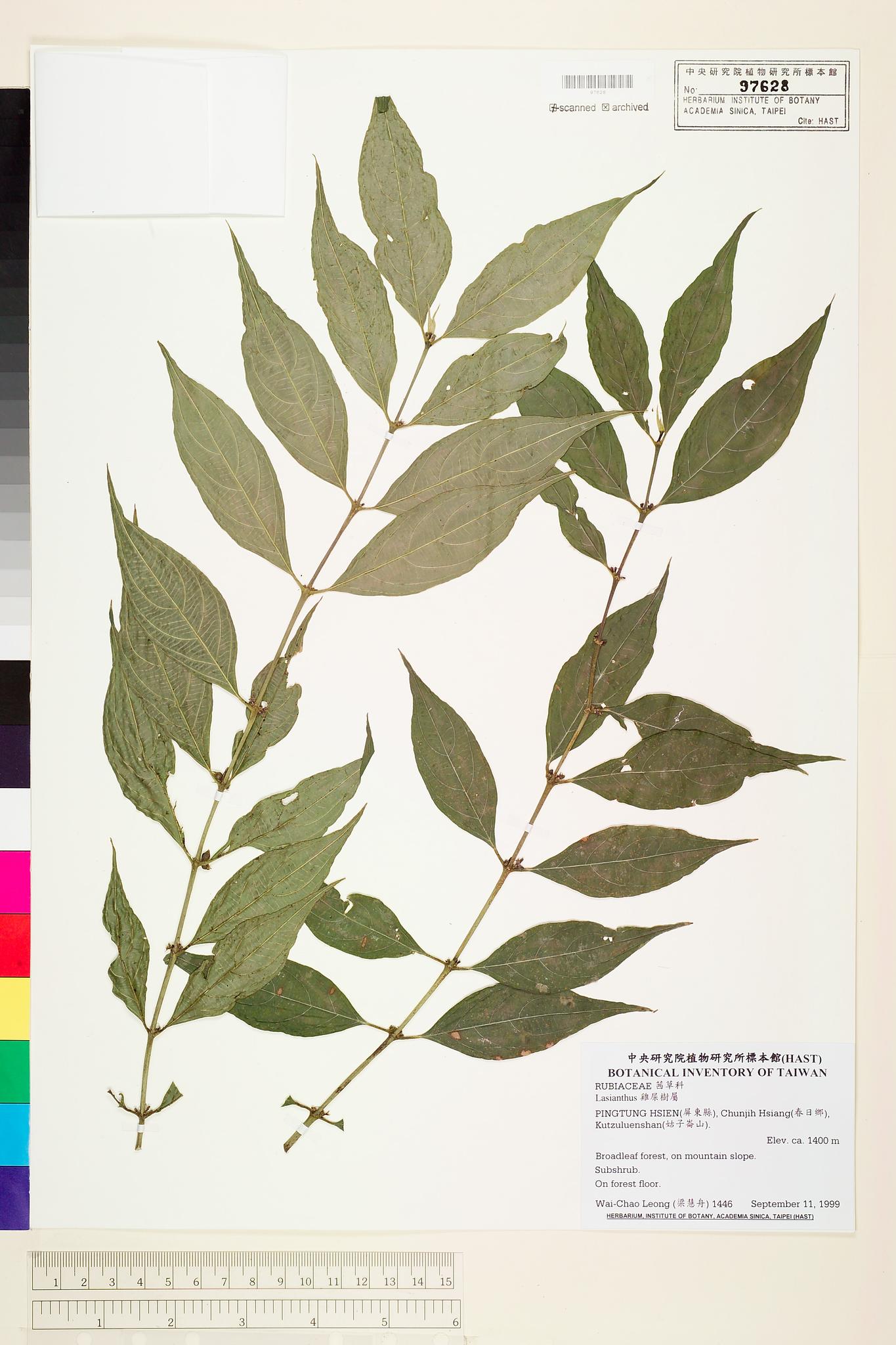 Sample image for viewer