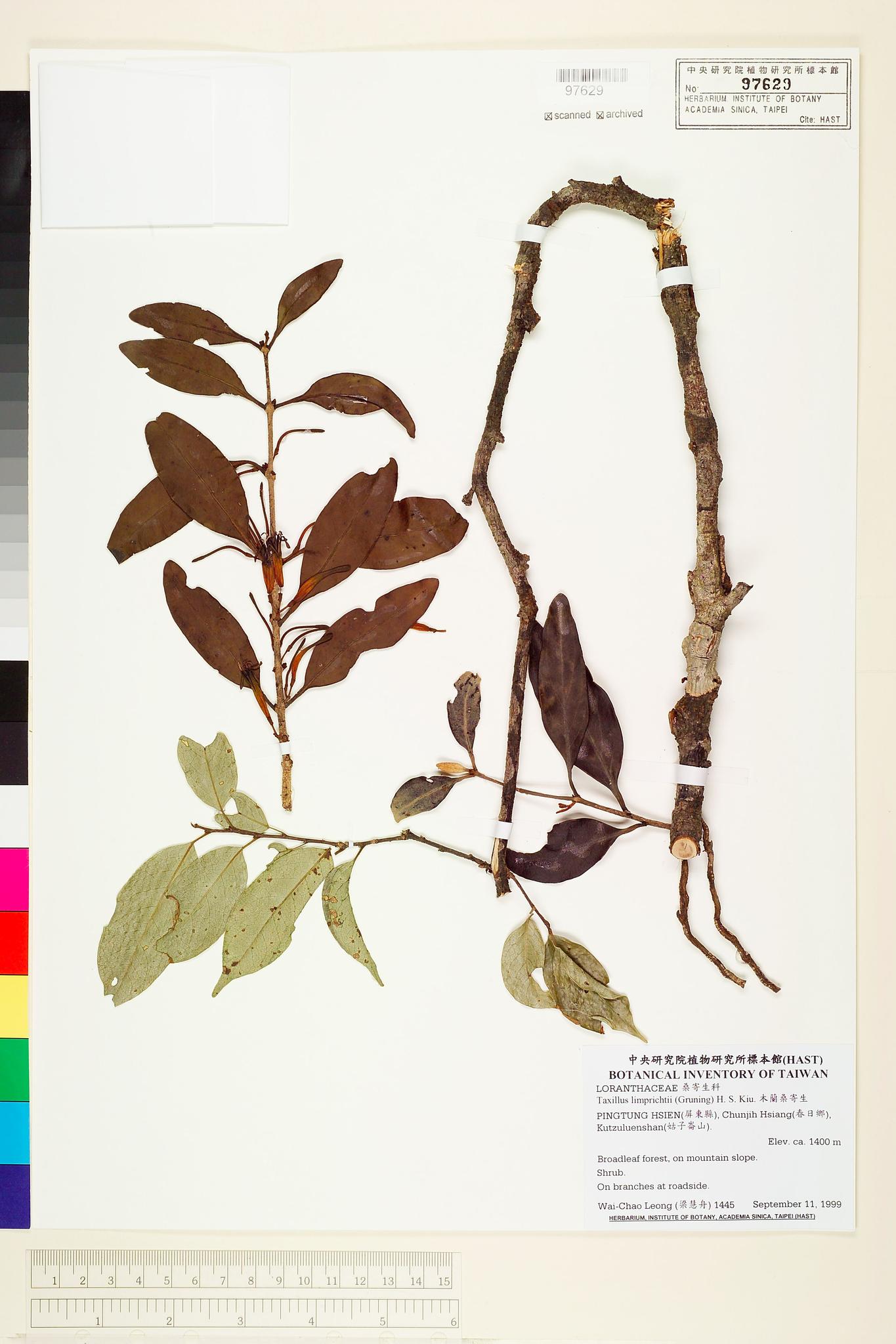 Sample image for viewer