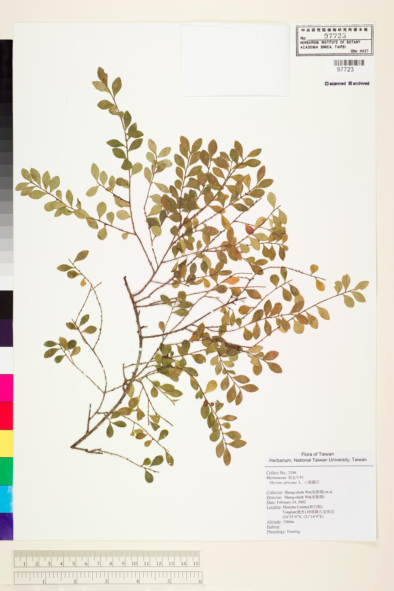 Sample image for viewer