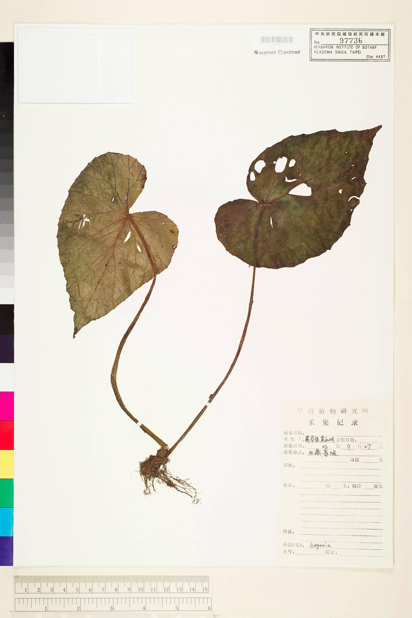 Sample image for viewer