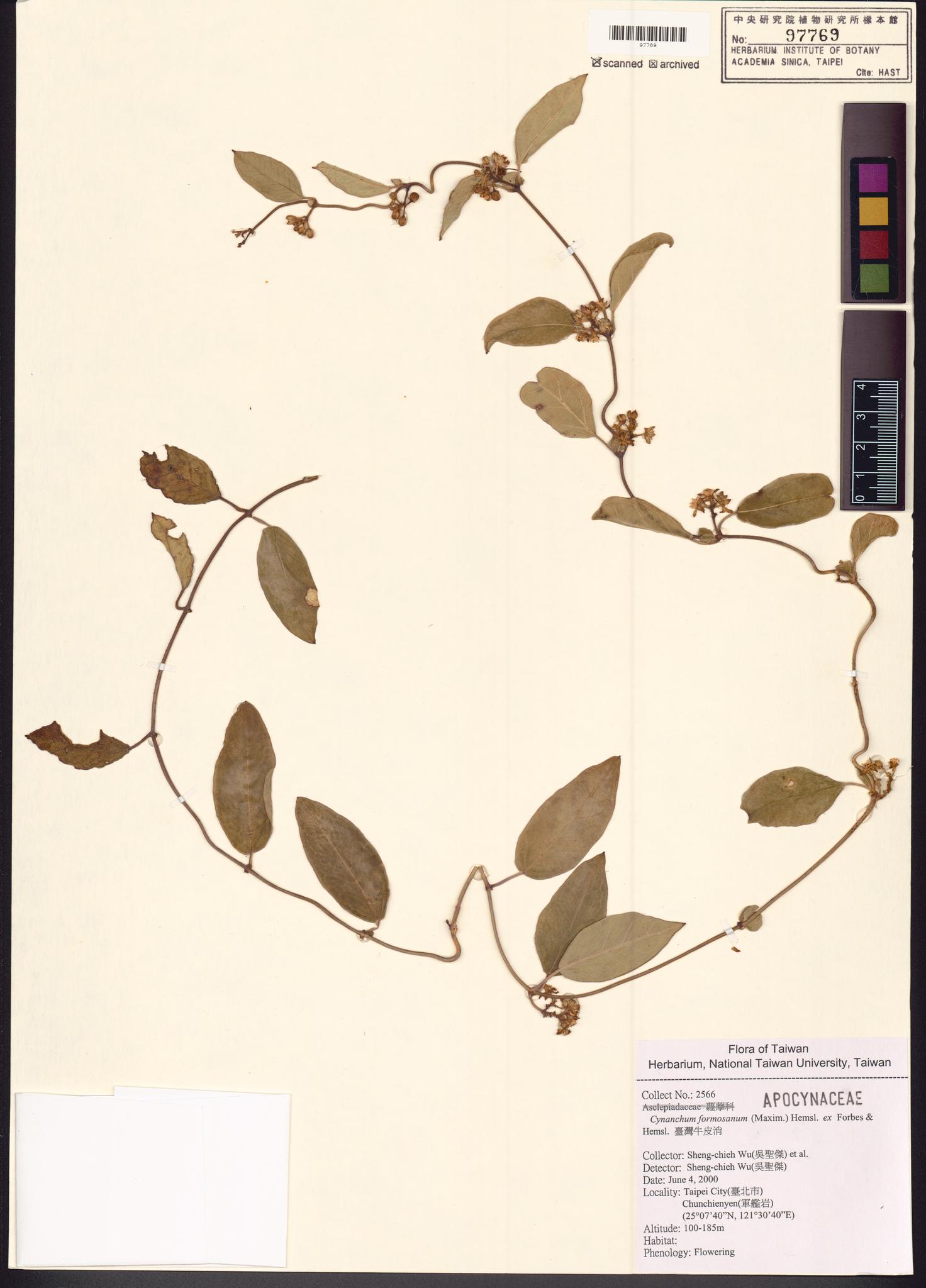 Sample image for viewer