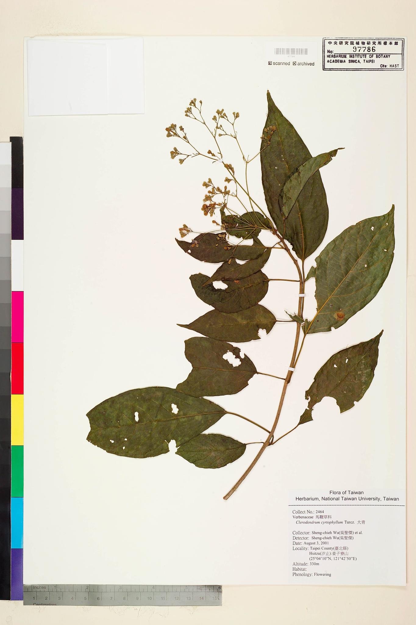 Sample image for viewer