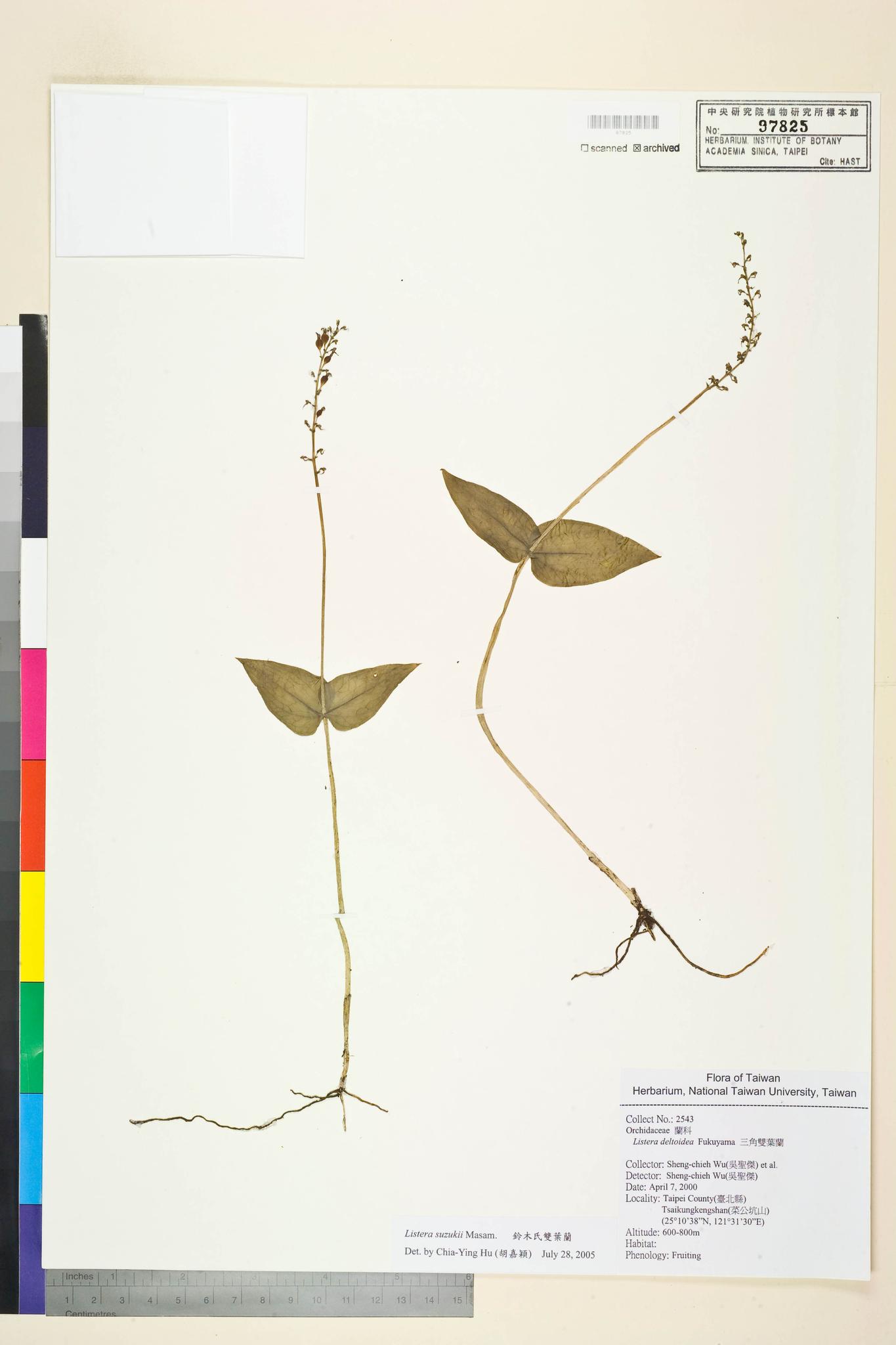 Sample image for viewer