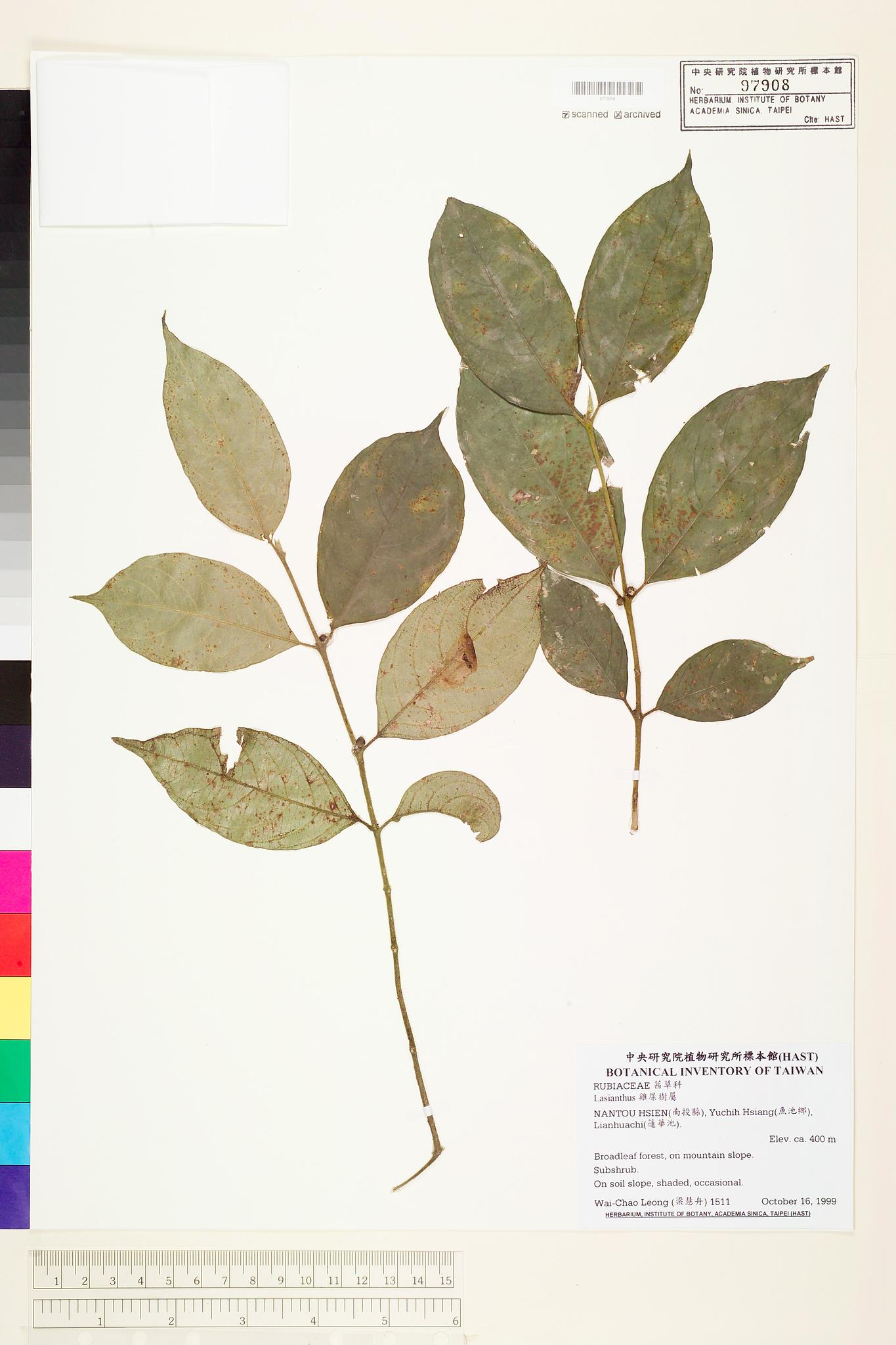 Sample image for viewer