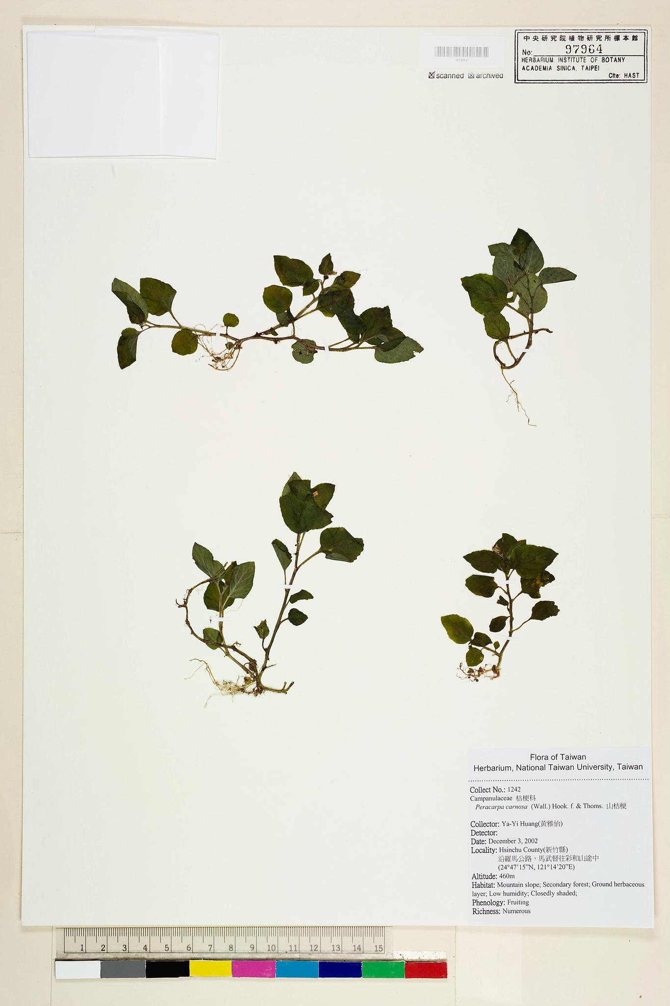 Sample image for viewer