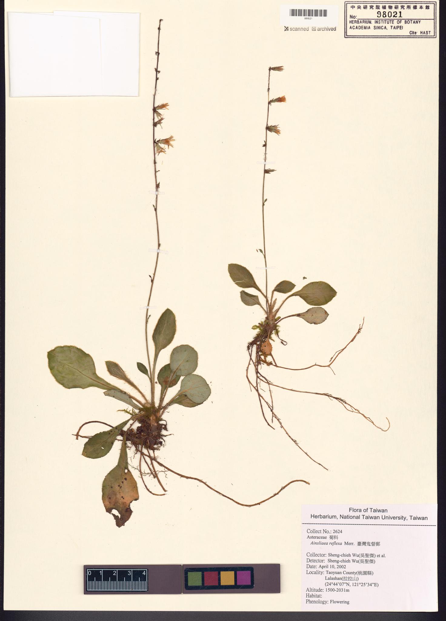 Sample image for viewer