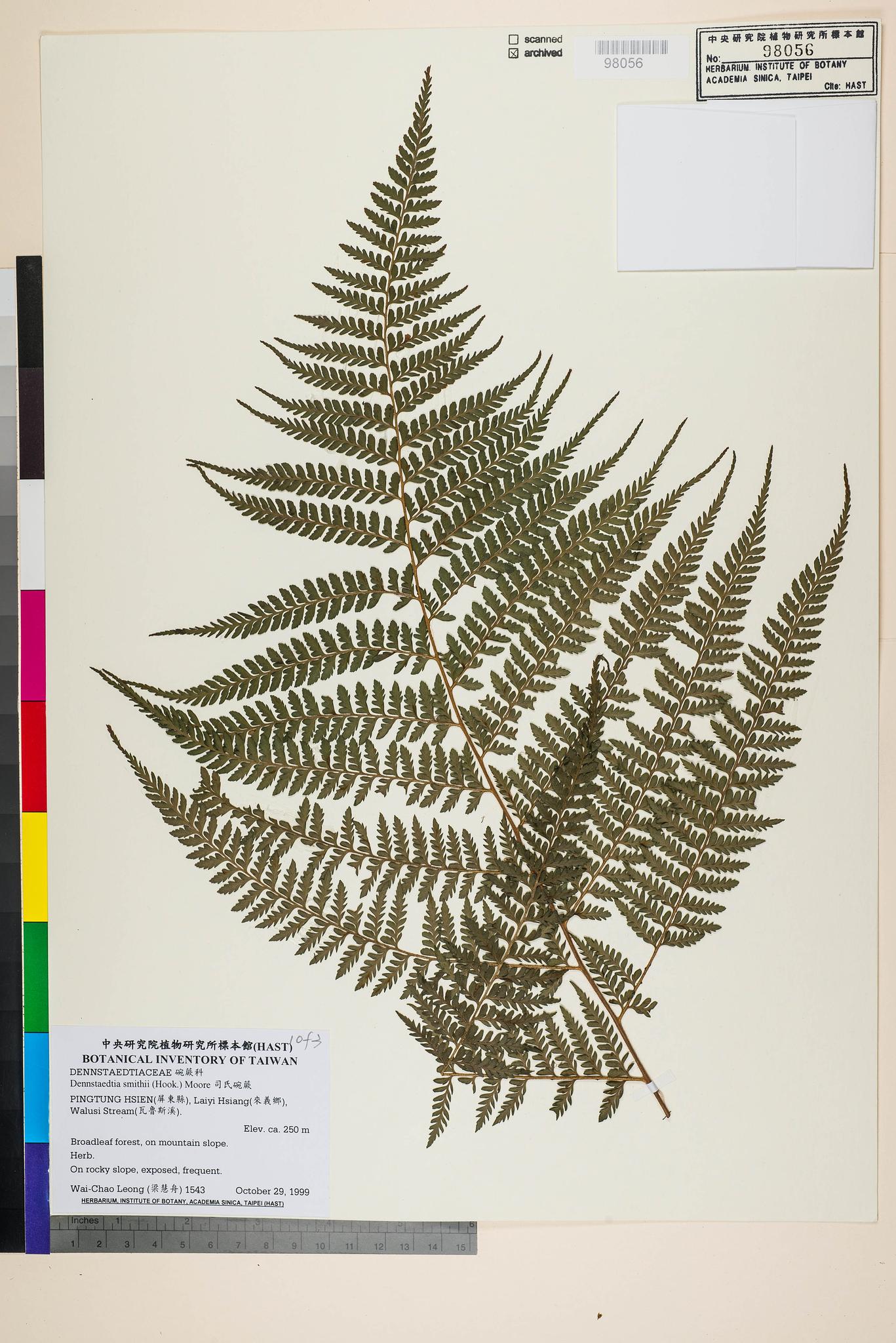 Sample image for viewer