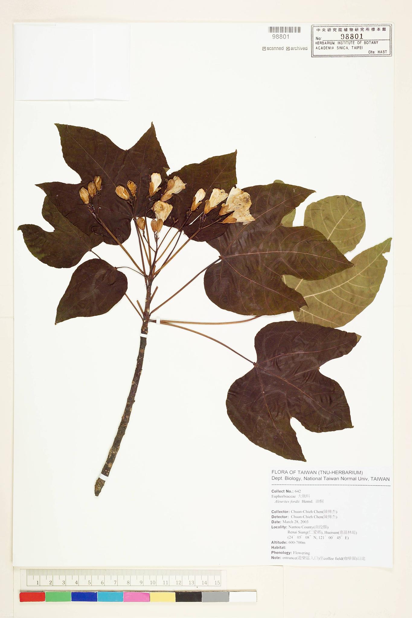 Sample image for viewer