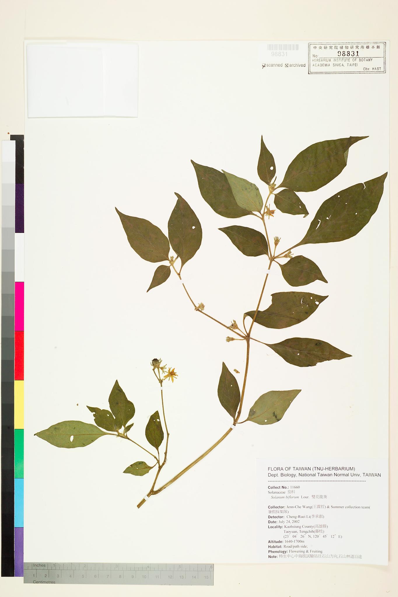 Sample image for viewer