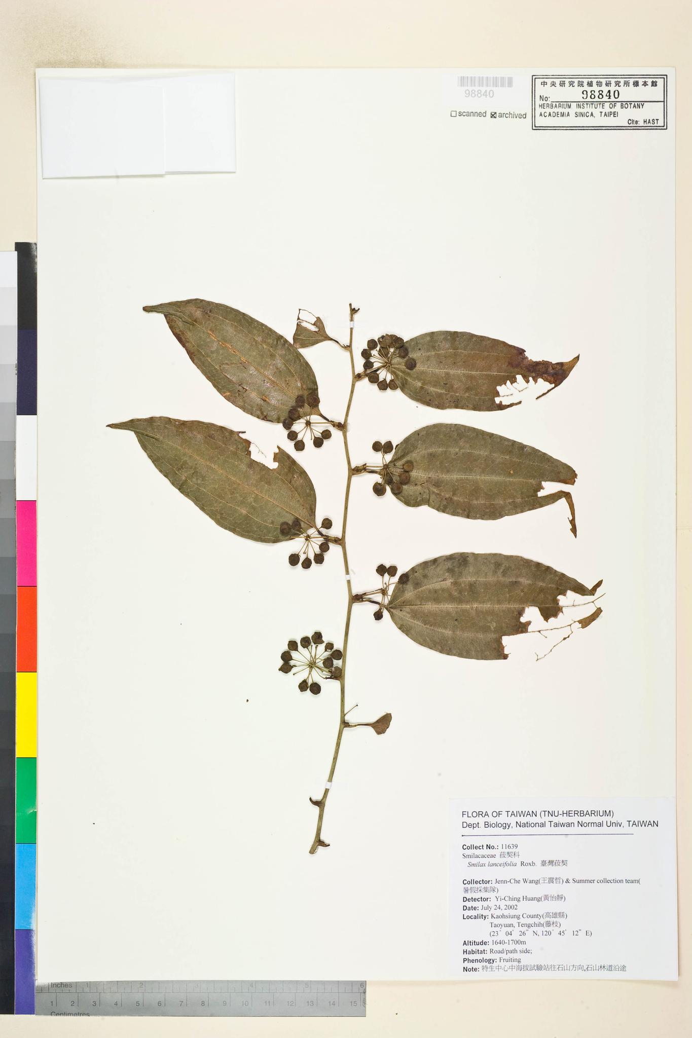 Sample image for viewer