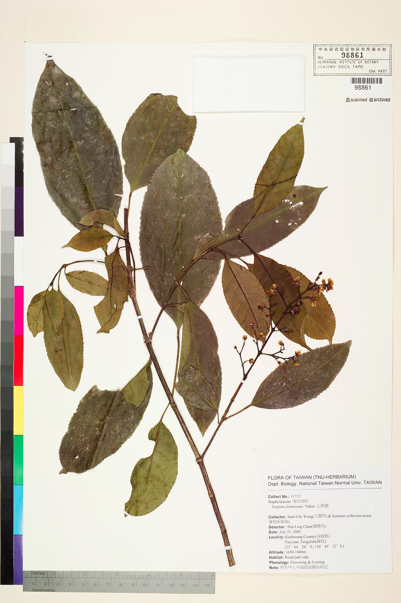 Sample image for viewer