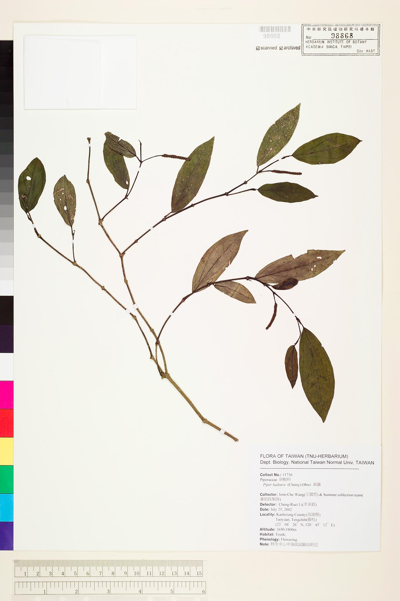 Sample image for viewer