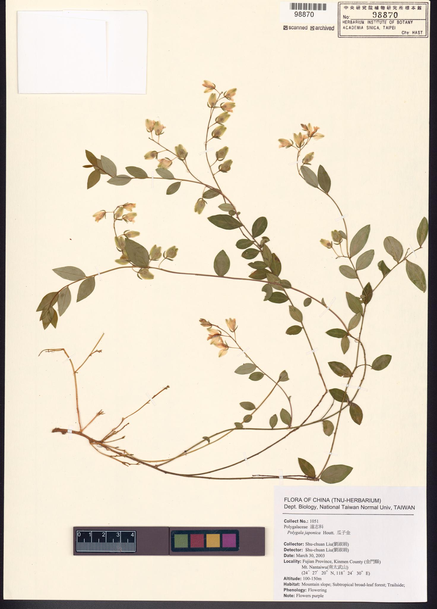 Sample image for viewer