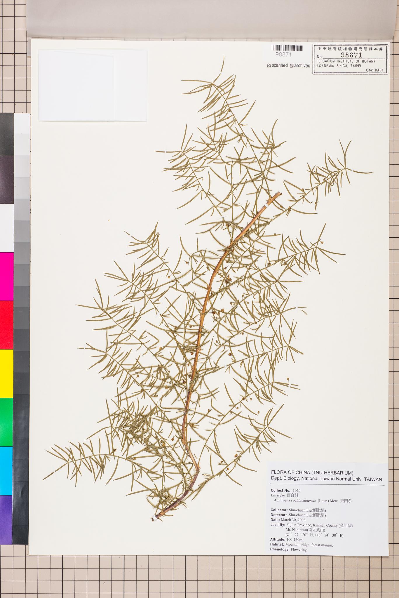 Sample image for viewer