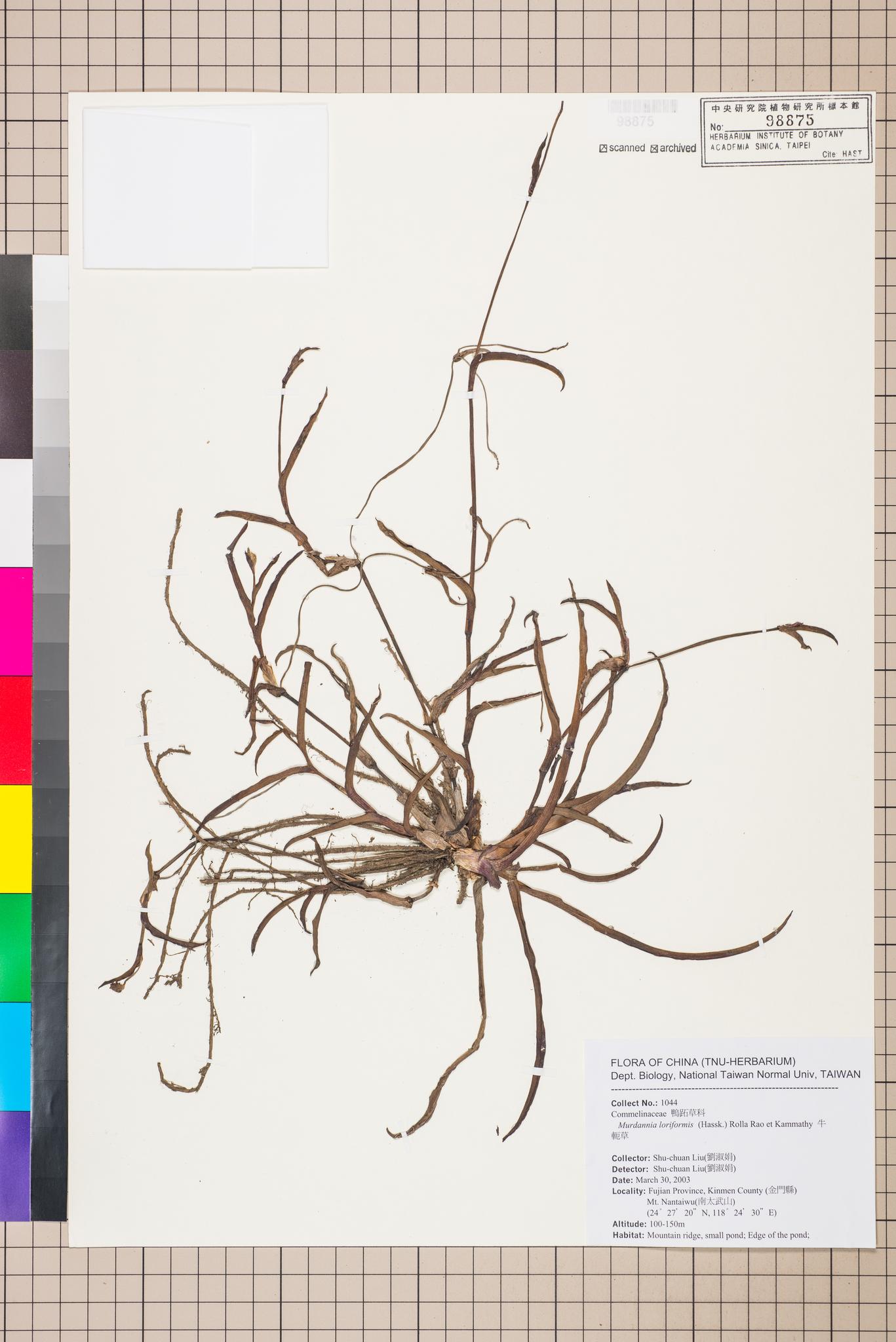 Sample image for viewer